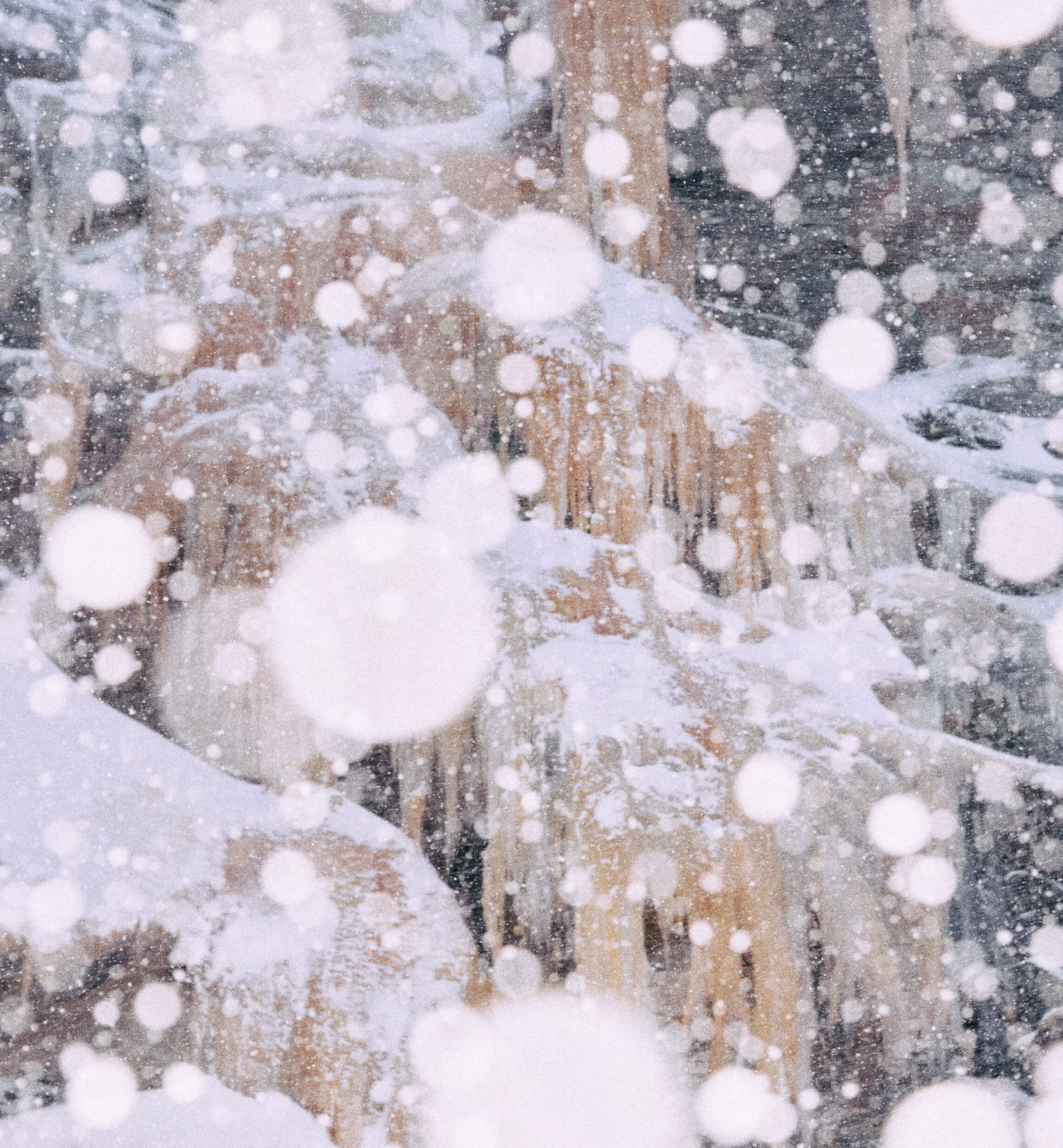 image of snow falling