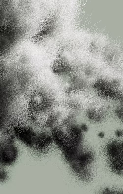 Image of insualtion fibre