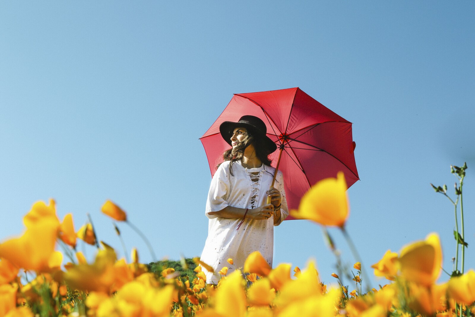 a woman in a field of flowers with a red umbrella 