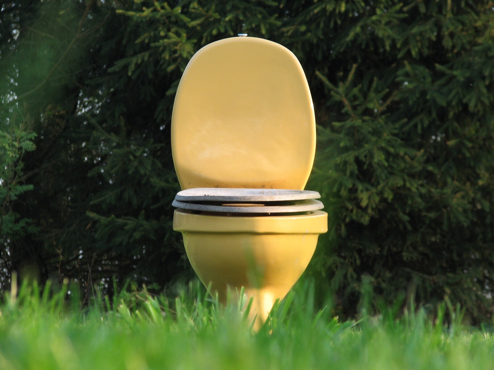 a toilet in a field 