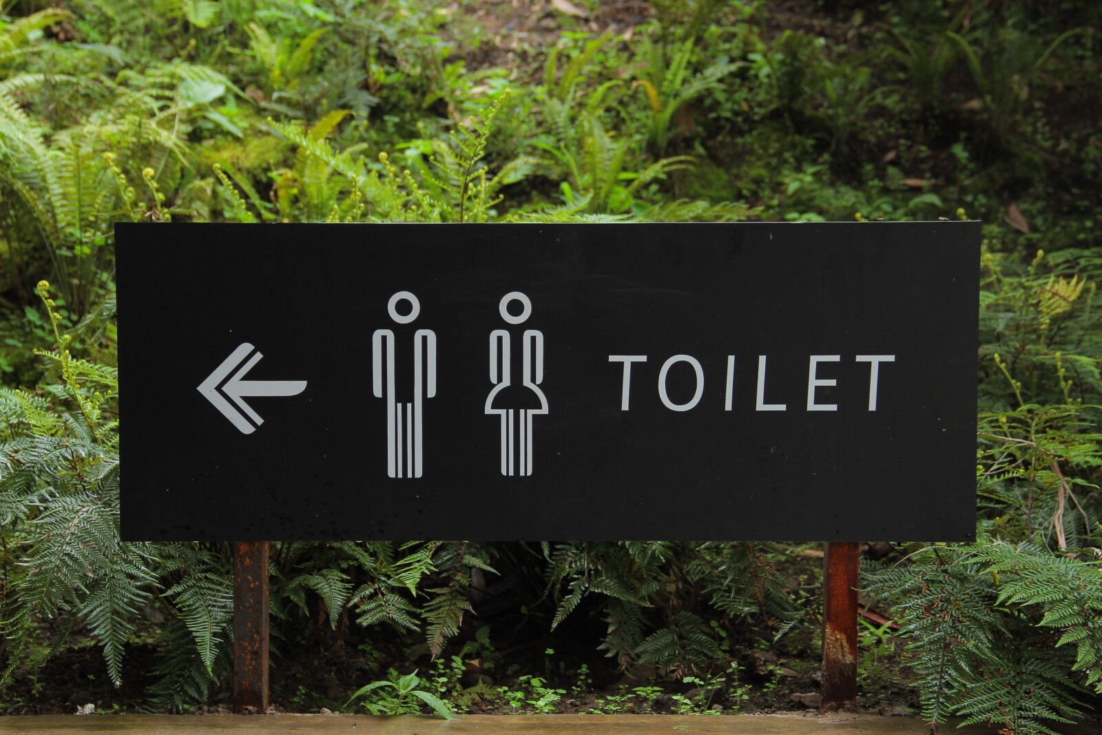 a bathroom sign on a wooden trail 