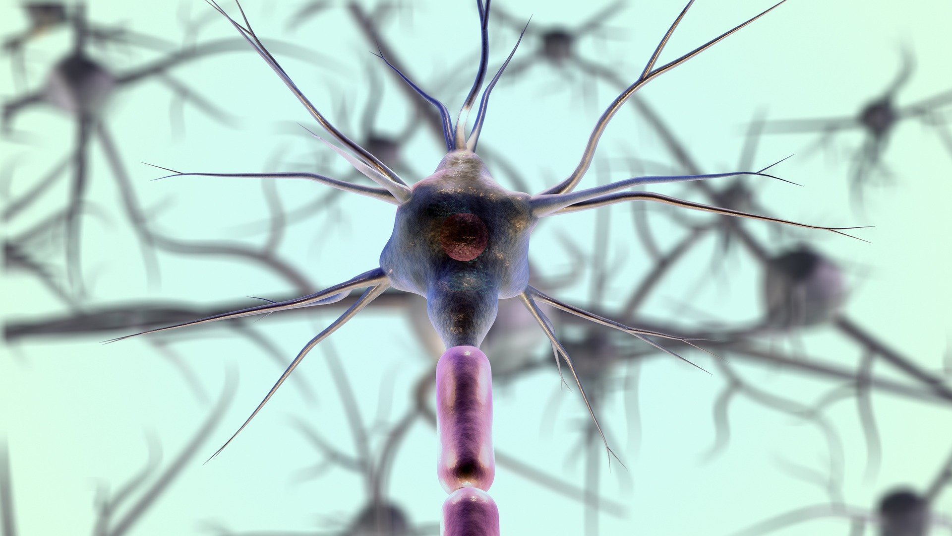 a neuron 