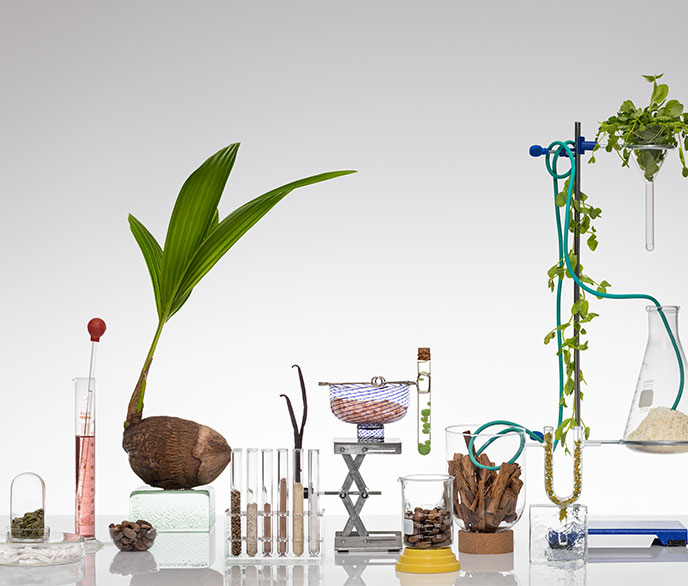 Photo of natural ingredients and measuring equipment