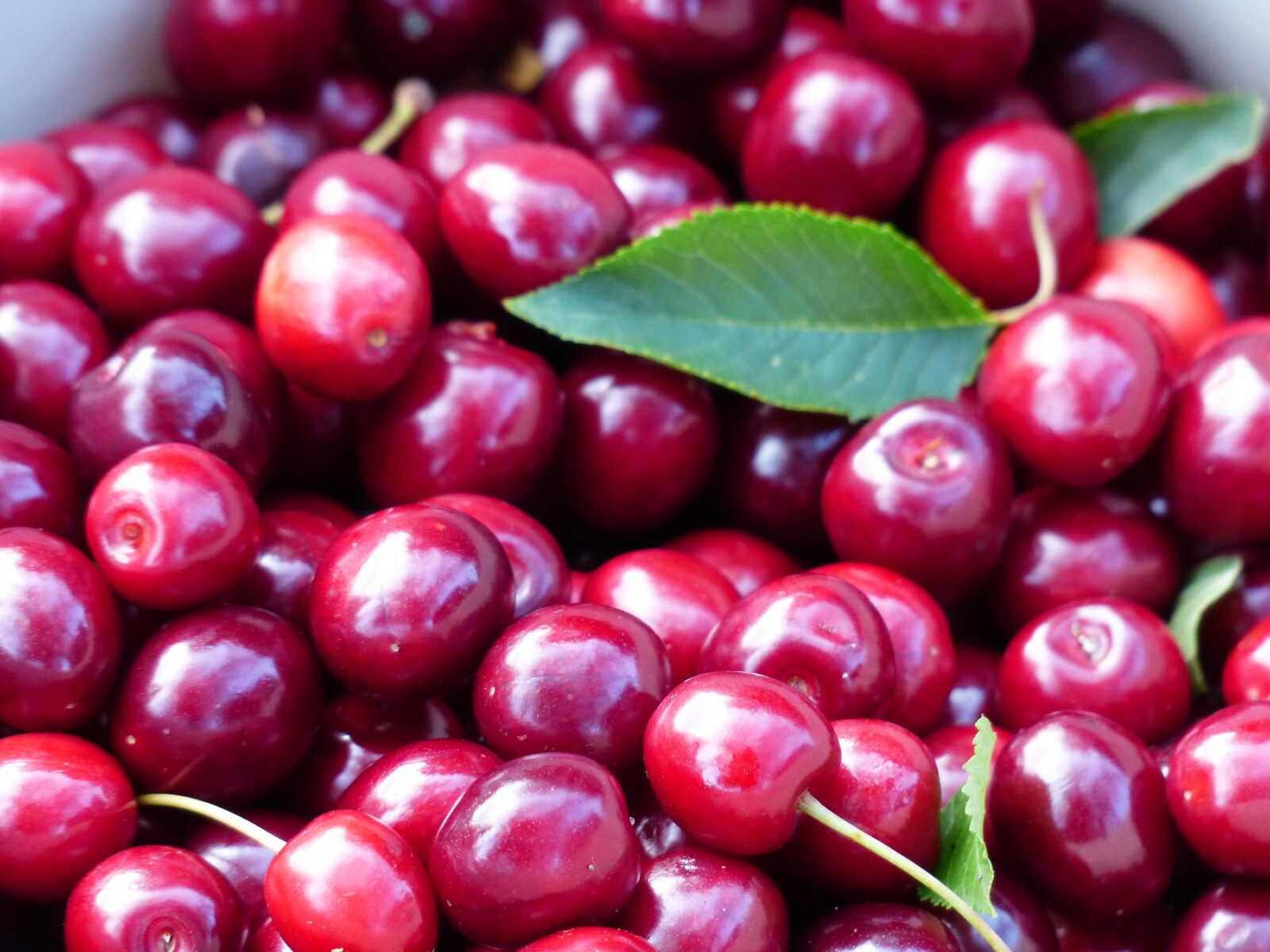 Does Cranberry Juice Really Make You Poop? Care/of