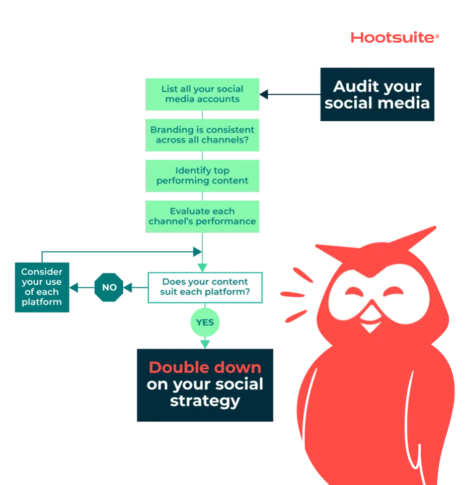 Owly next to social media audit flowchart
