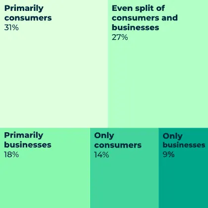 Graphic showing the target audience of survey respondents with primarily consumers (31%), primarily businesses (18%), even split of consumers and businesses (27%), primarily businesses (18%), only consumers (14%), and only businesses (9%)