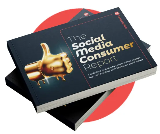 Bild eines Buches mit dem Titel „Social Media Consumer Report“ auf dem Cover