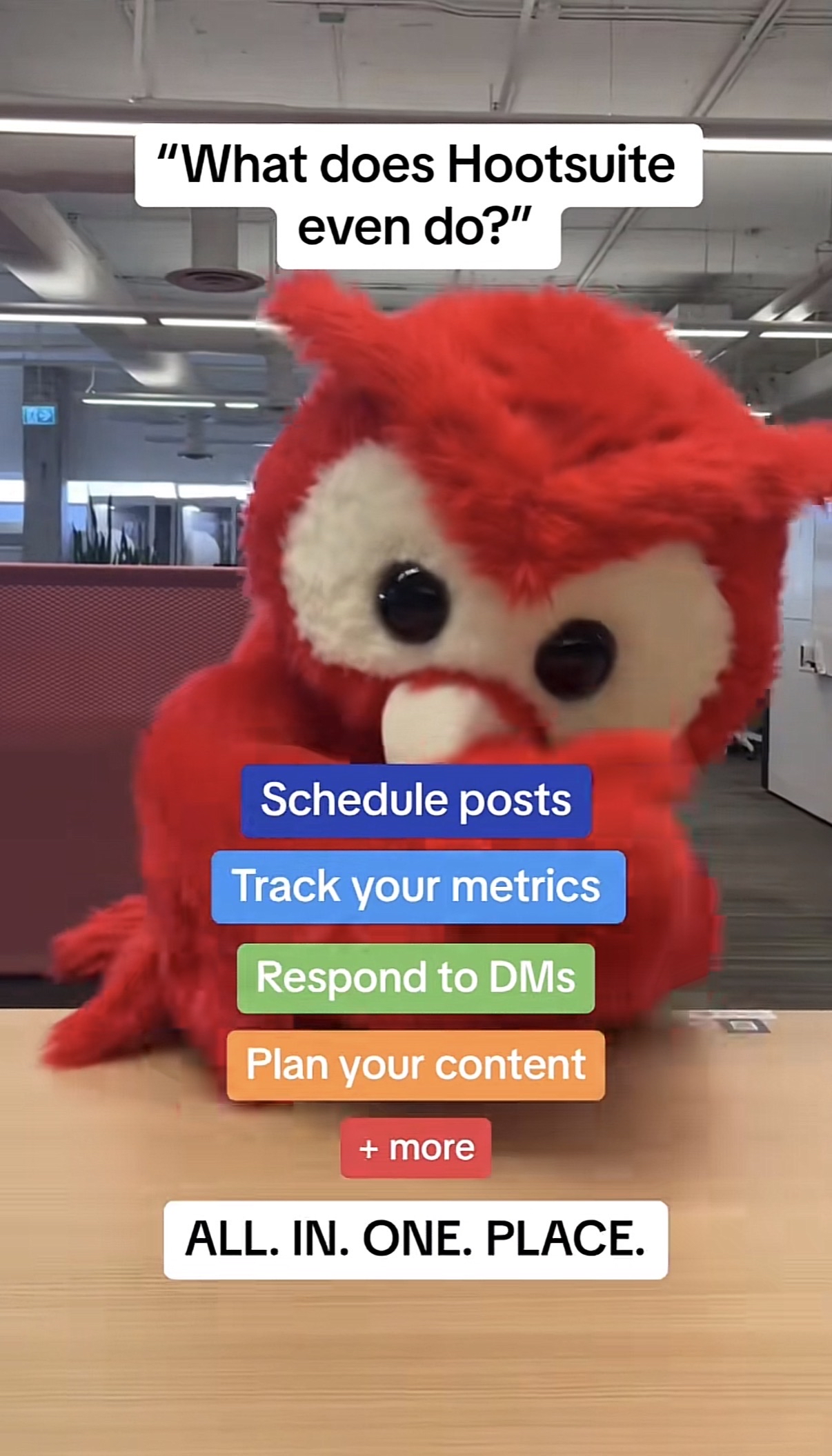 TikTok screenshot with Owly and words that read "Good riddance. You know who we're talking about."