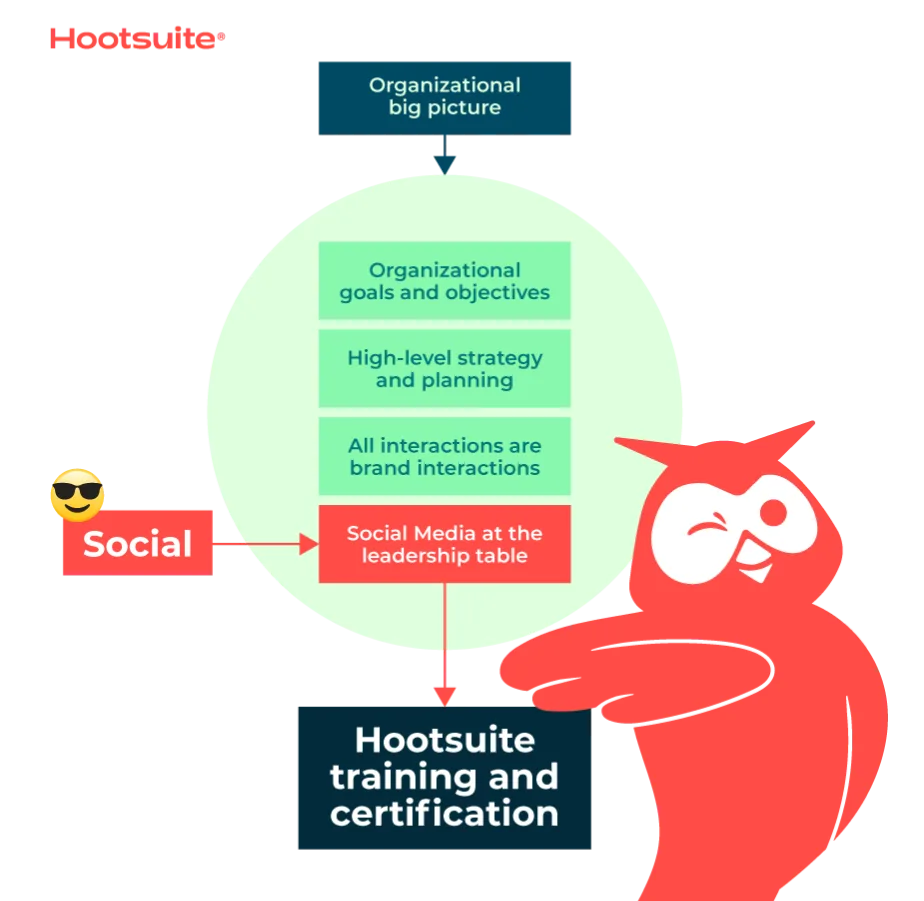 Owly next to organizational big picture flowchart