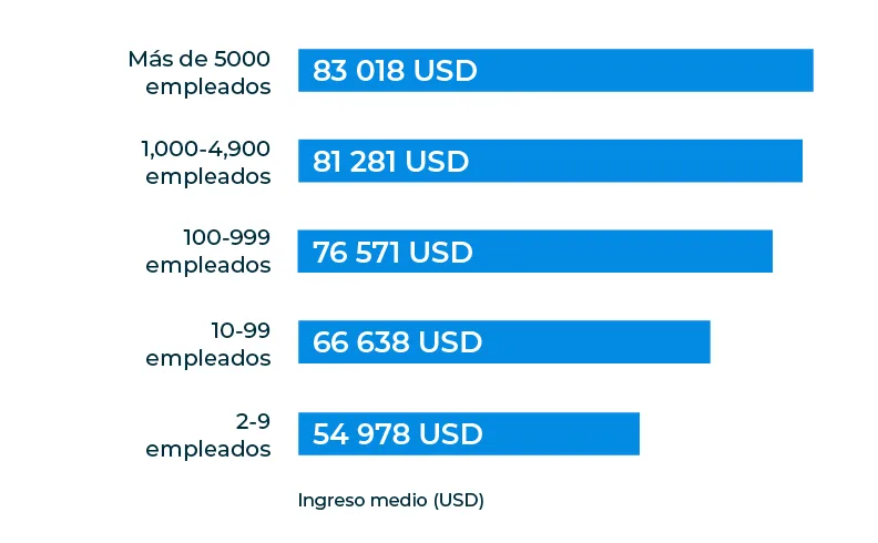 Gráfico de barras que muestra los ingresos de los profesionales del marketing social según el número de empleados de la organización.