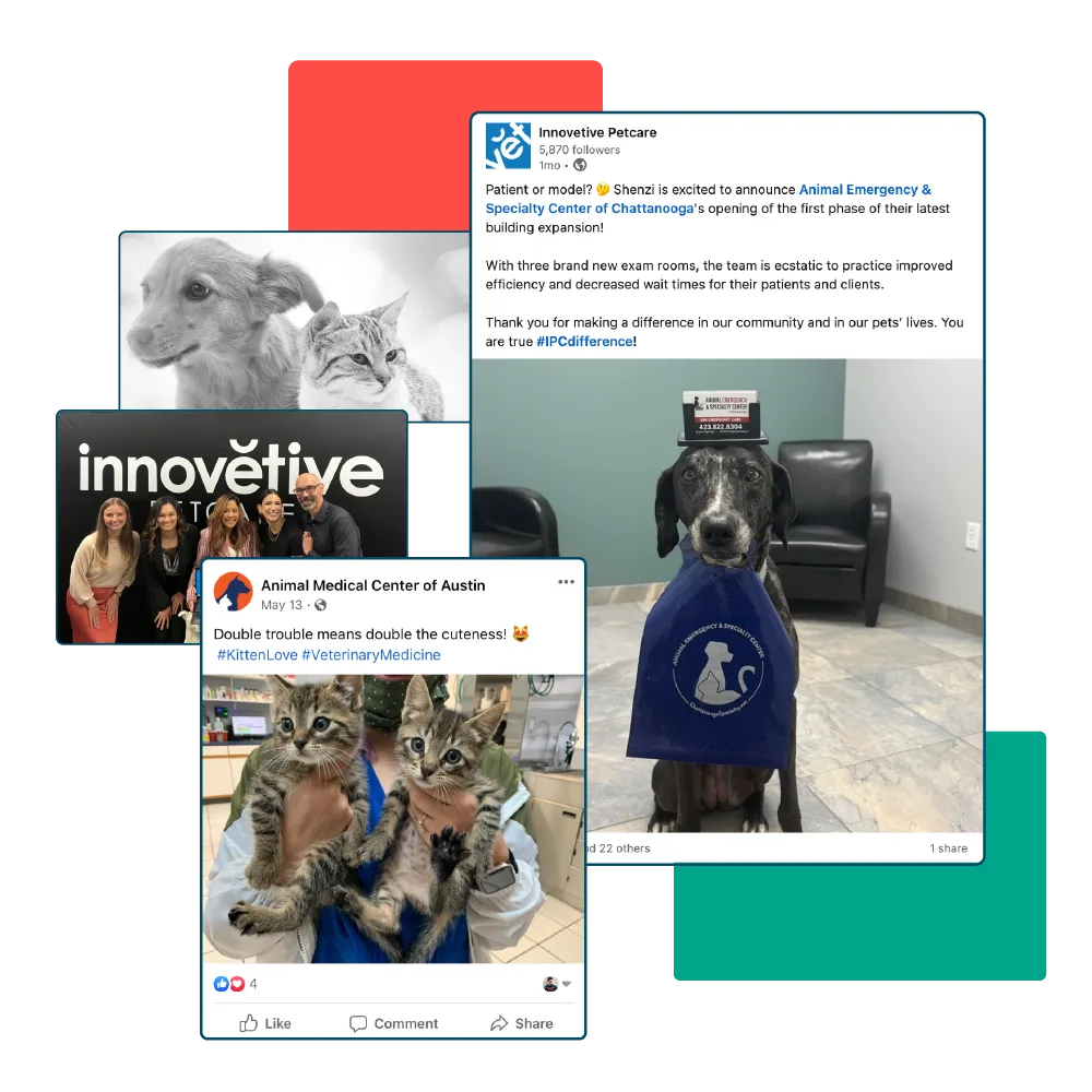 Screenshots of Innovetive pet care social media profiles