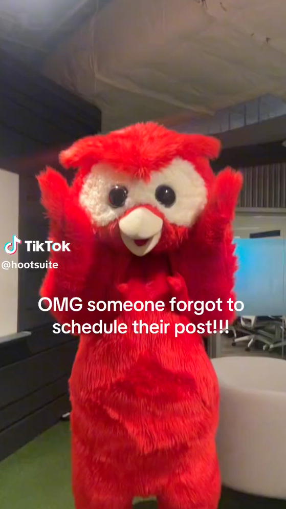 Owly TikTok thumbnail