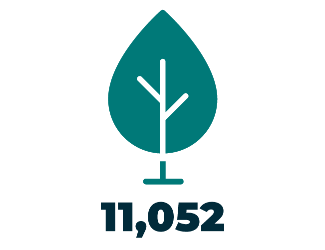 1052 trees planted