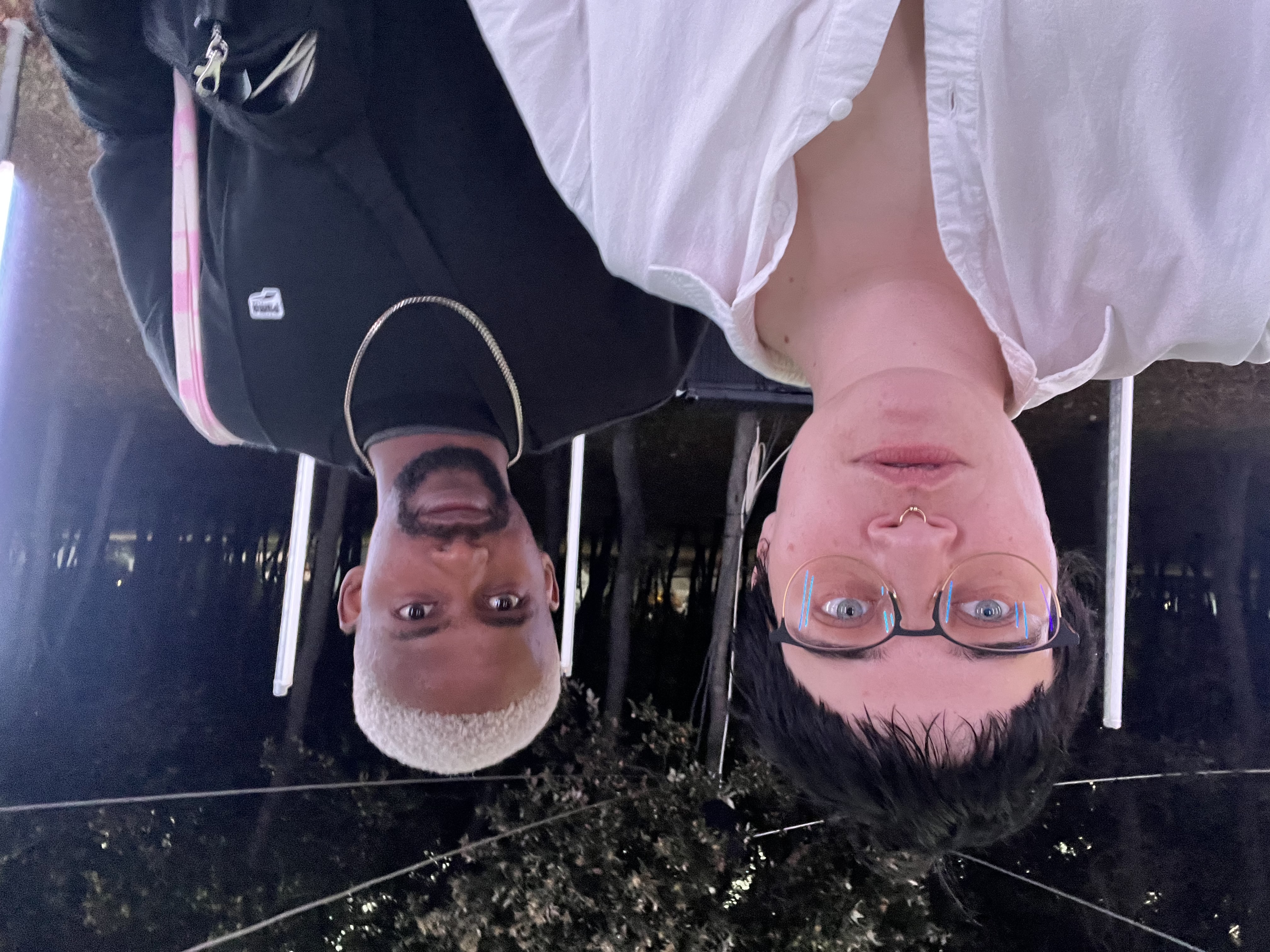 Rose Bonica & Deep Aztec