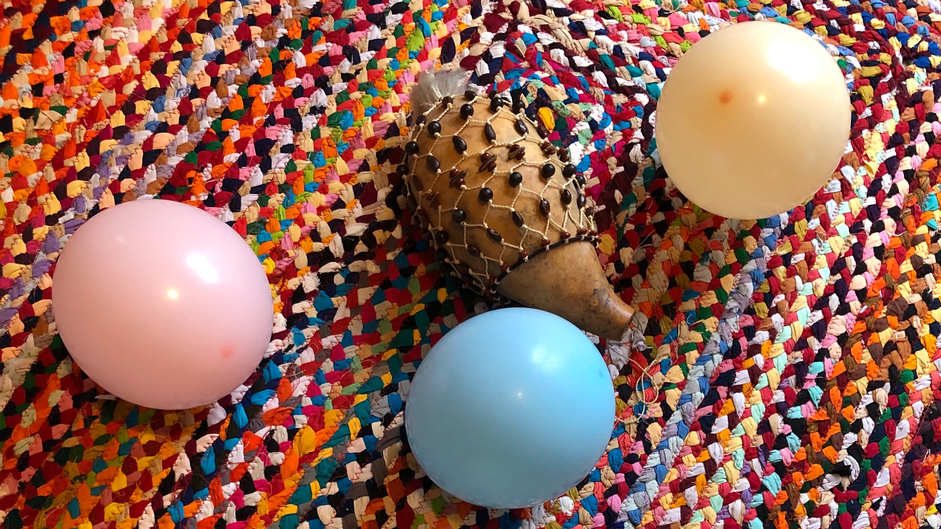 The Busted Bongo | D. Strauss