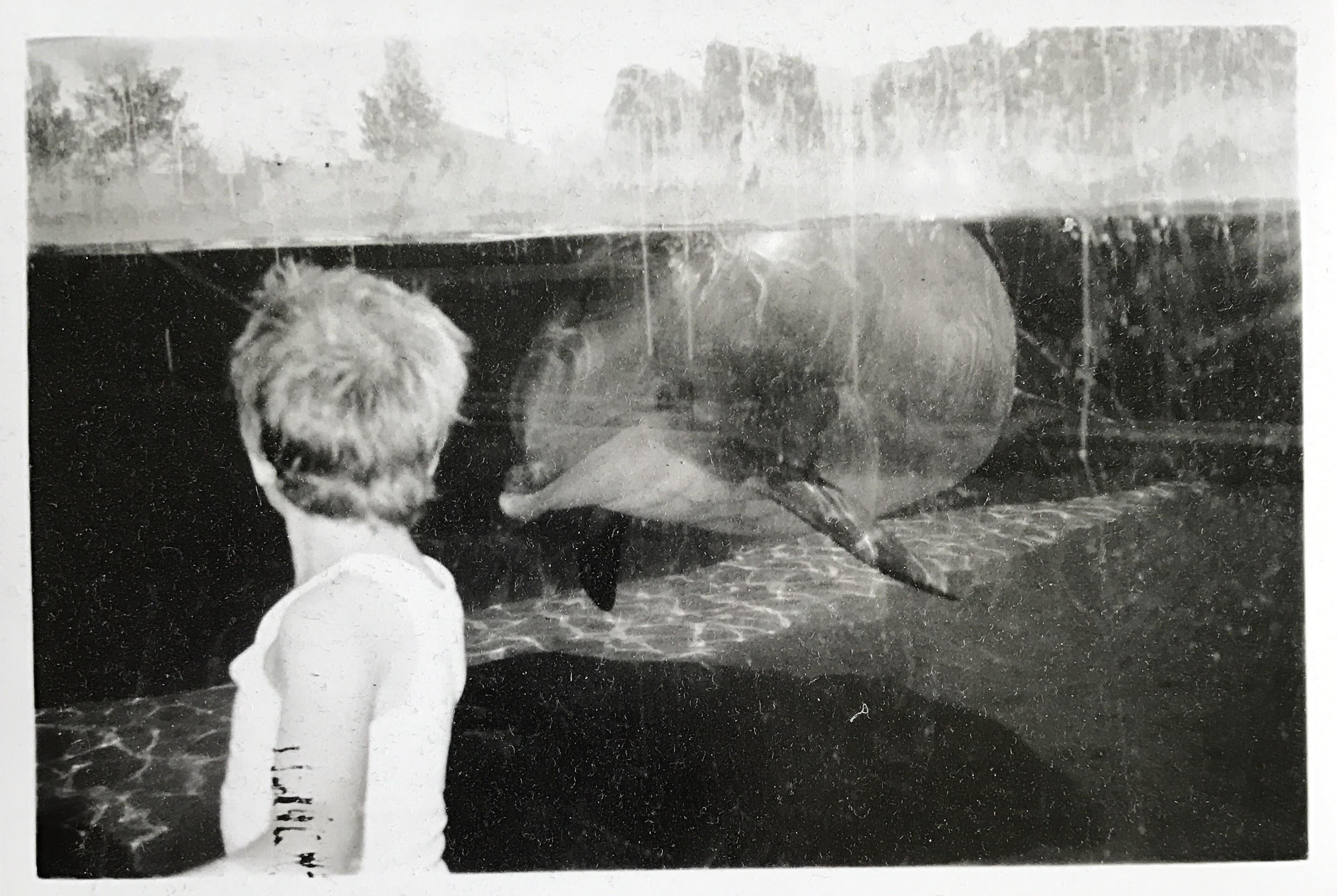 Roti Mami | More Bass Less Trouble