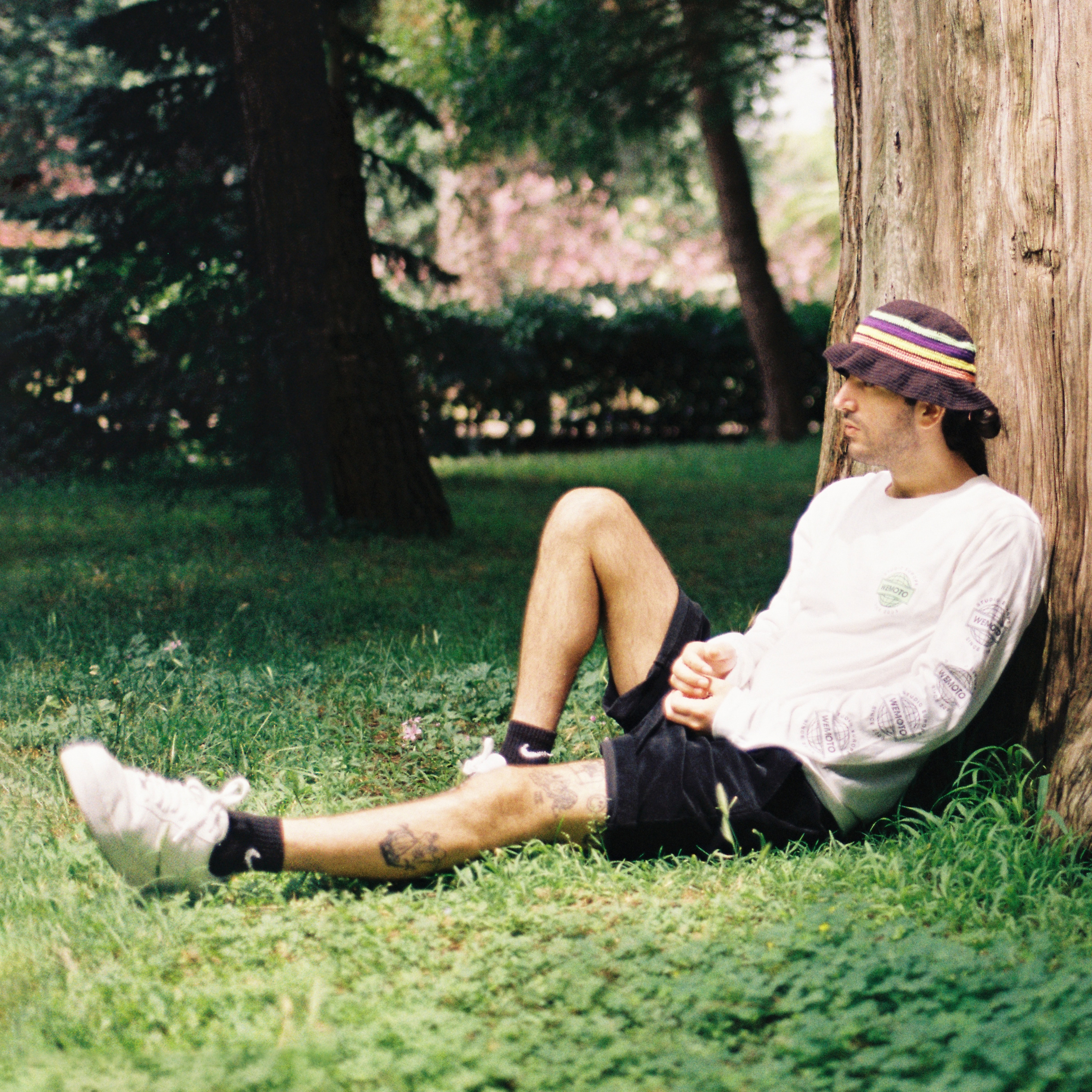 Plants, Beats, Bleeps & Bloops | Ozoyo