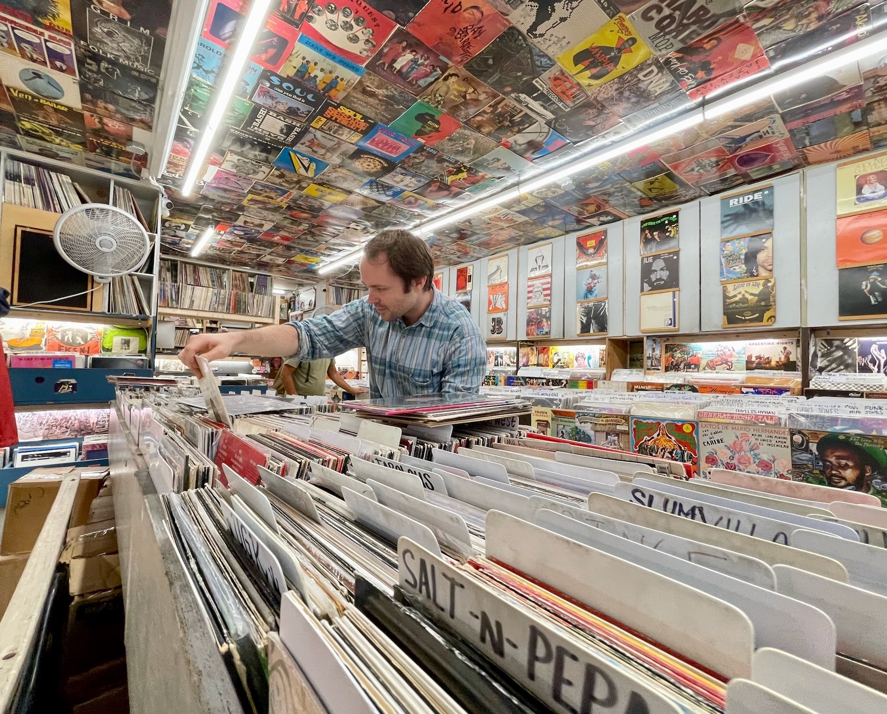 Paradise Mirage | Phonon