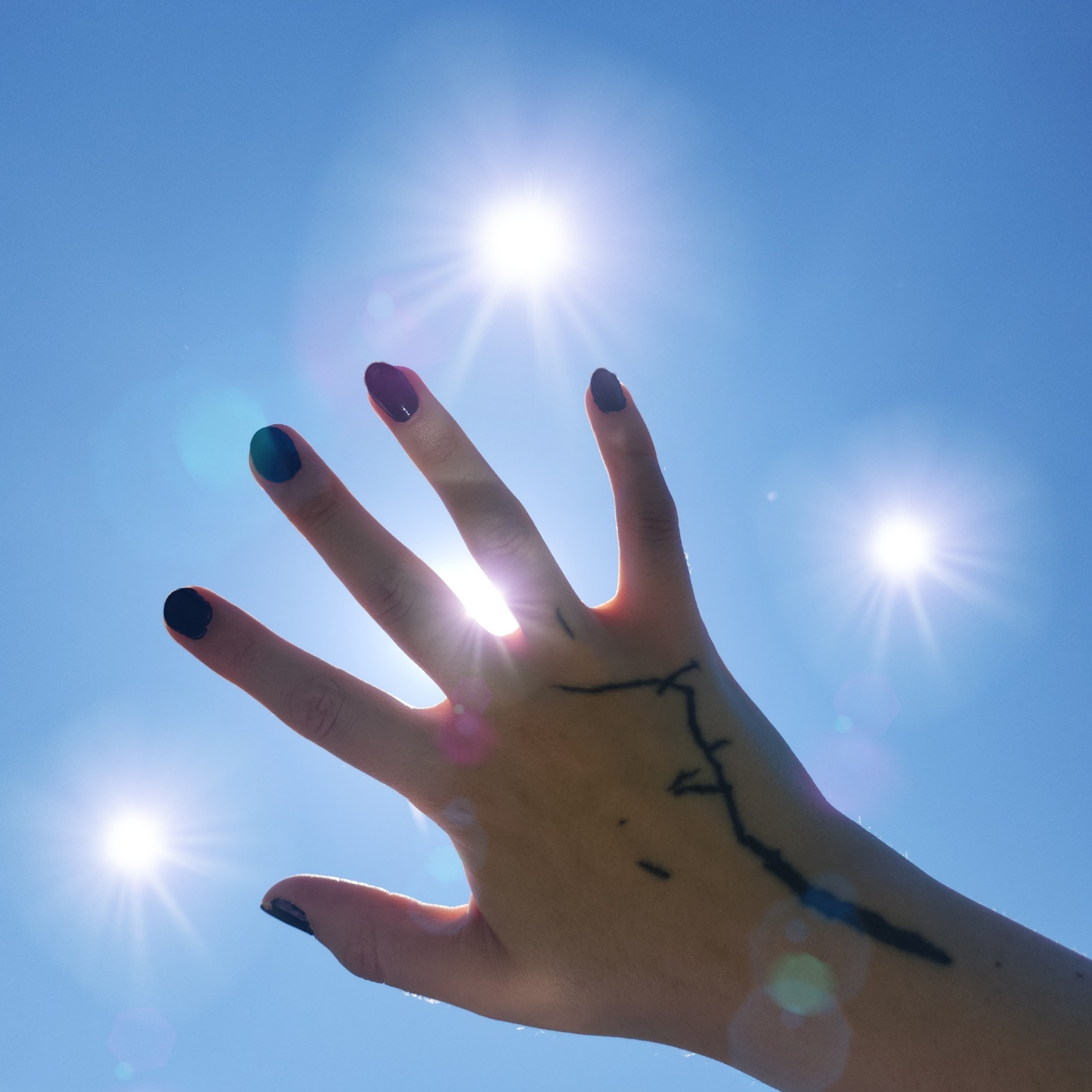 Augury | Aria Gorman