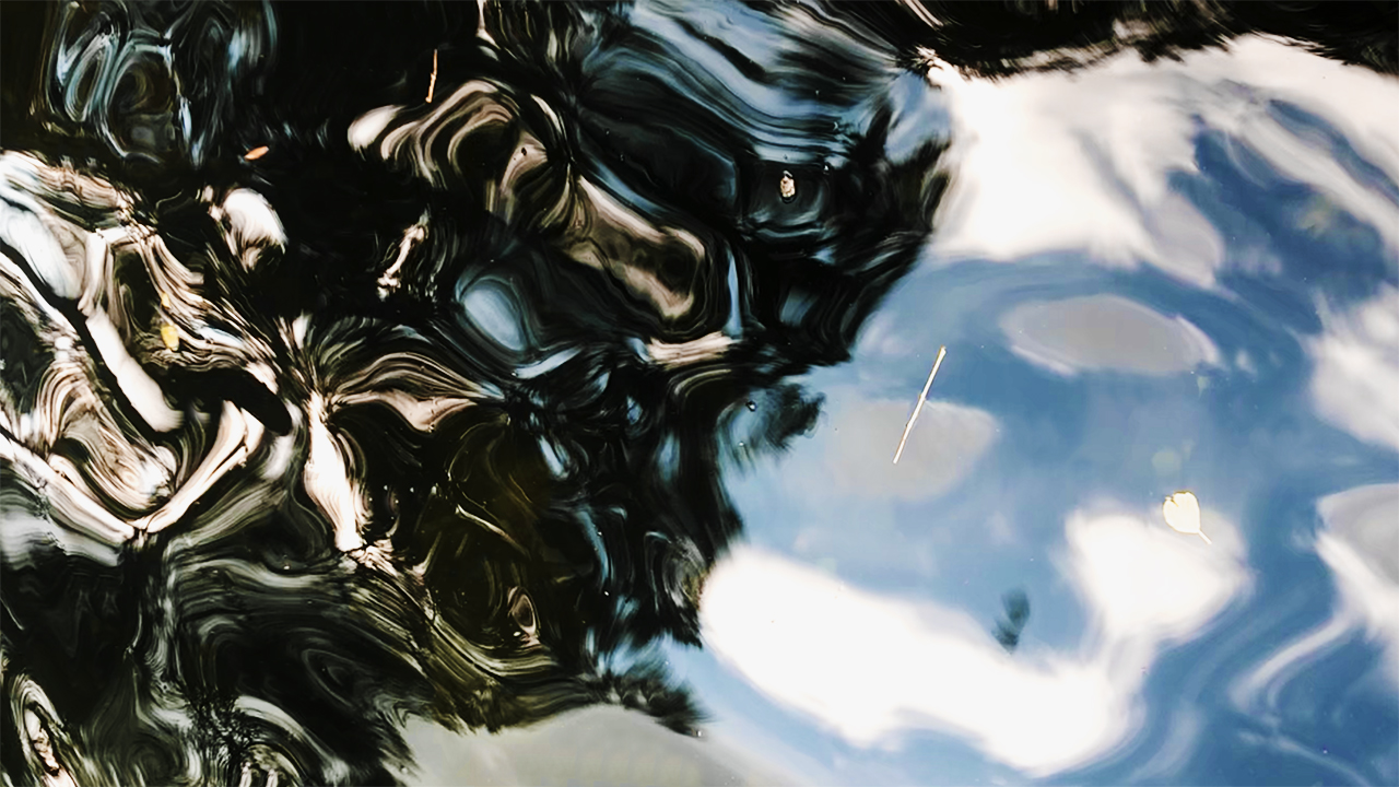 World Oceans Day |  Baby Vulture