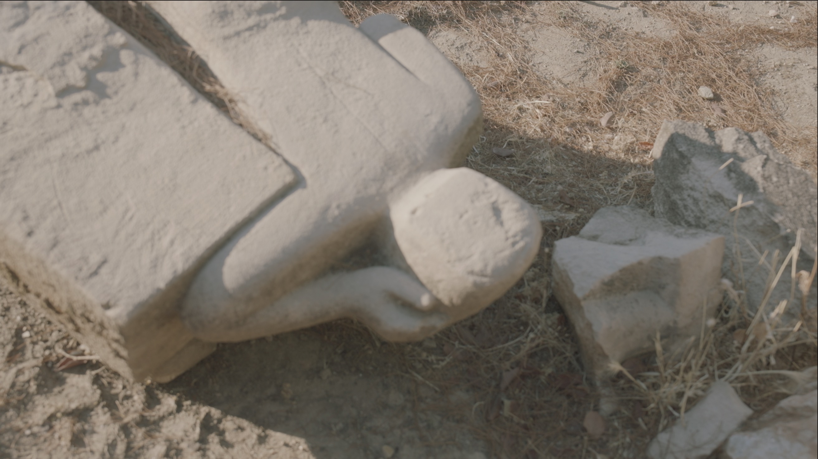 The Mediterranean Garden | COSMOS & Tania Feghali 