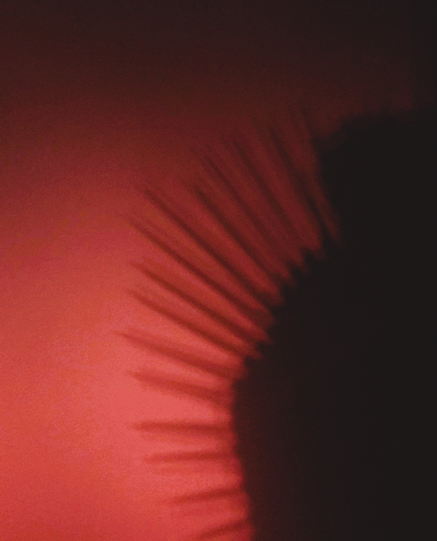 Sun Over My Head | Cmba