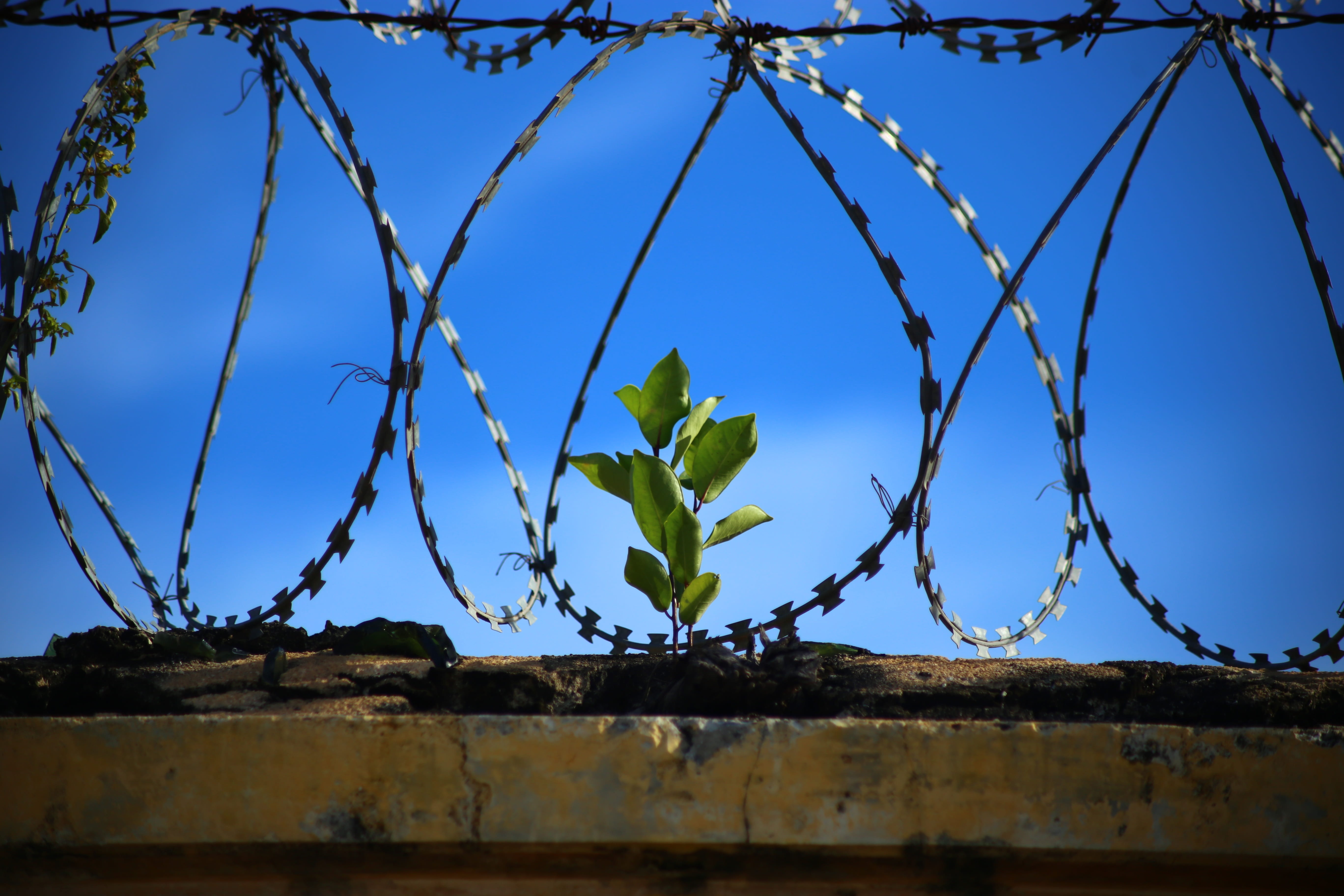 aequa Radio: On Prisoner Solidarity | Sarj