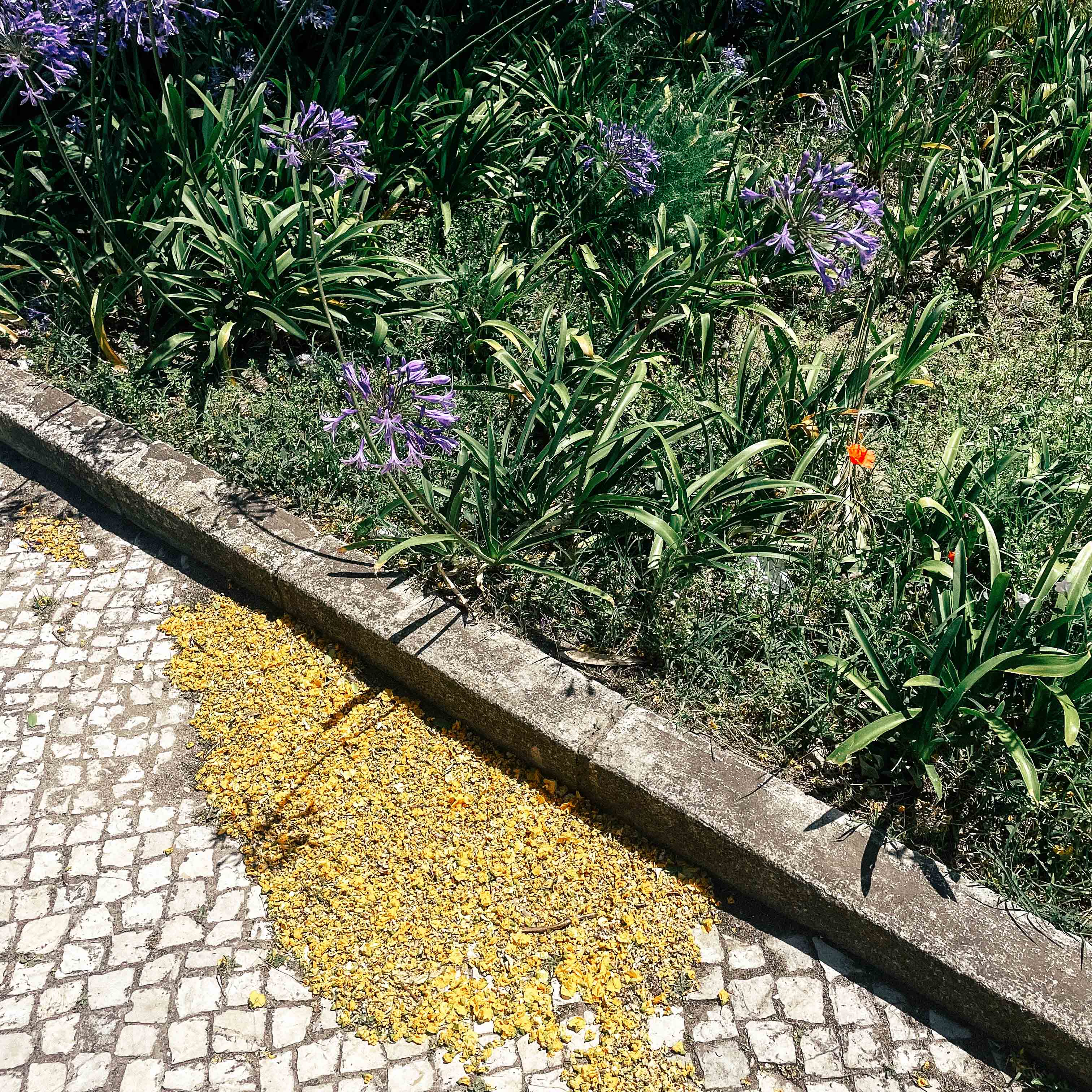 Solar Narratives | George Snow