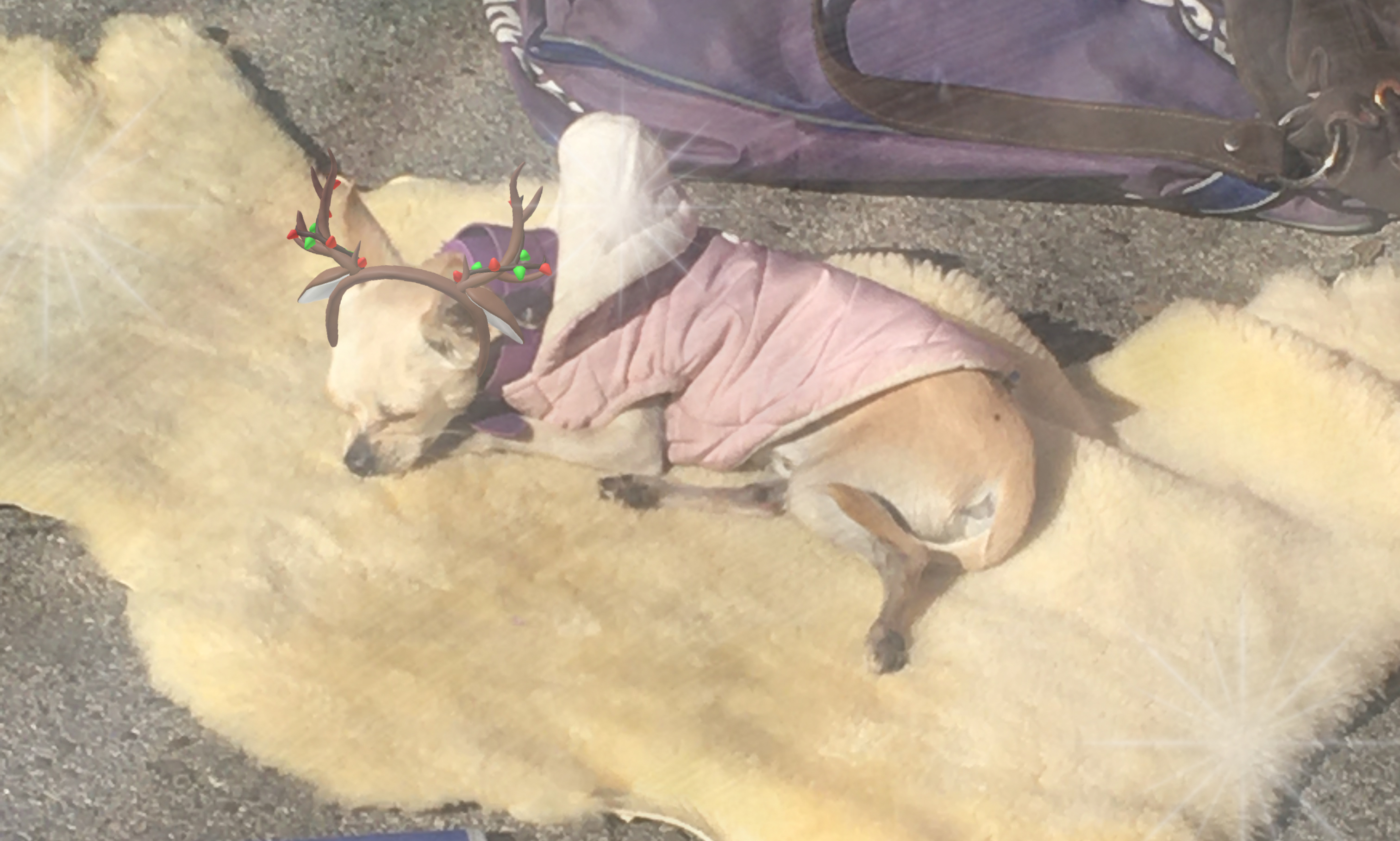 And All That Jazz | Kaodi