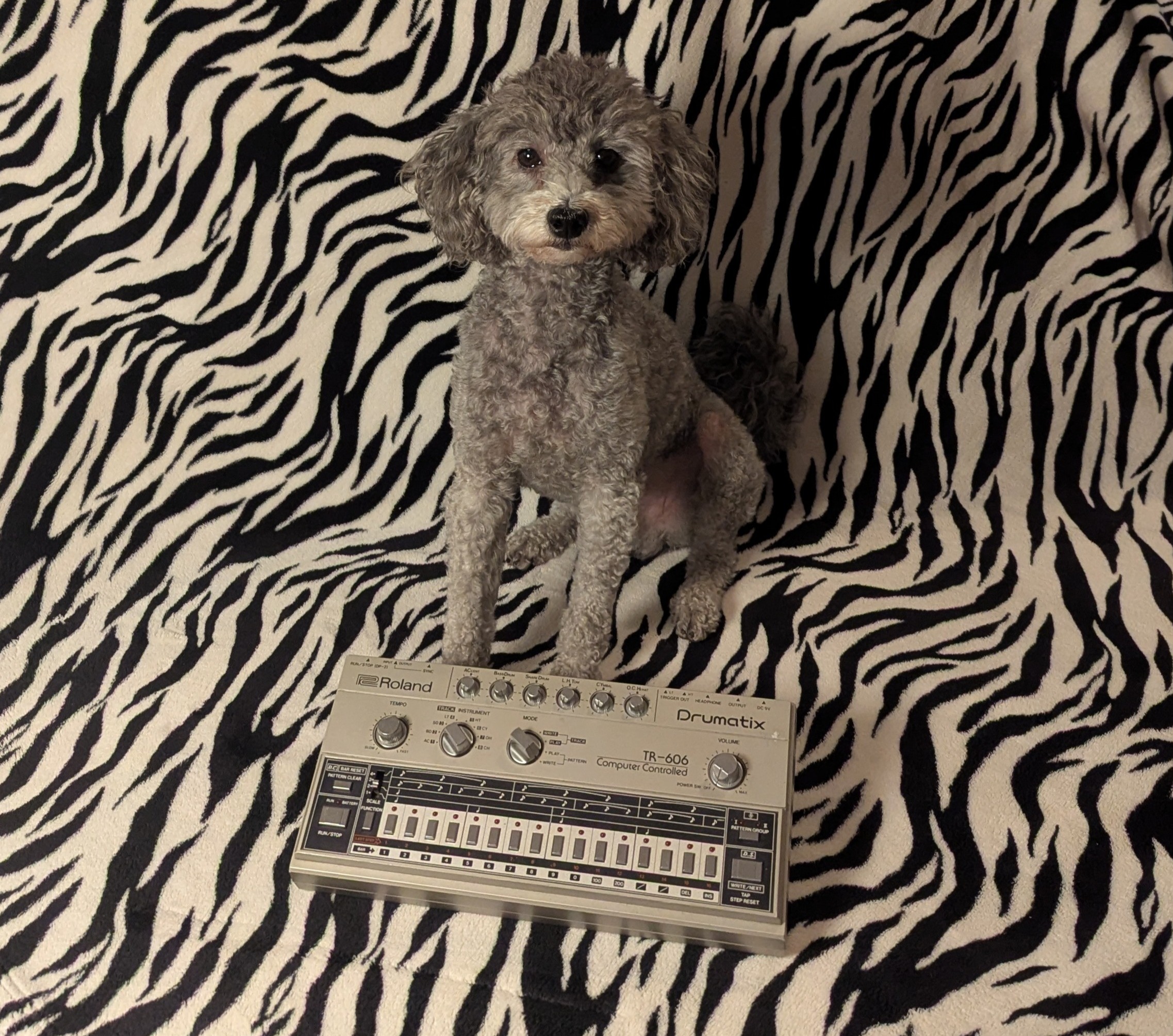 New Massage | Telephones