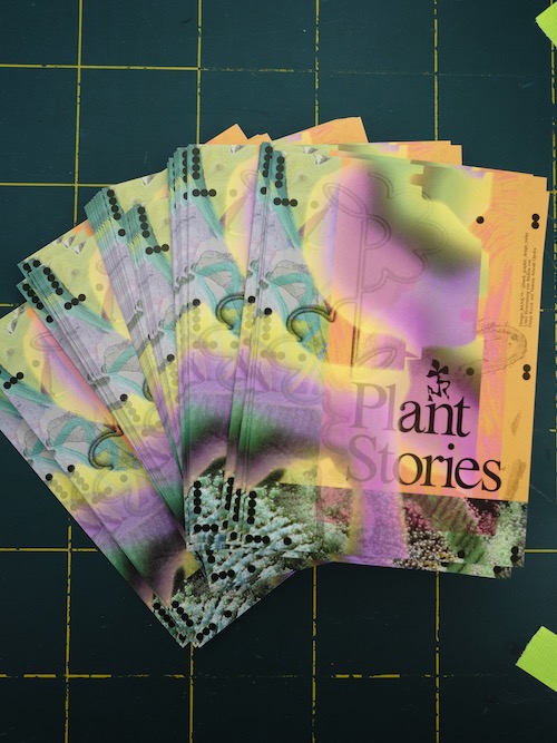 Plant Stories | Andrea Goetzke, Andrea Acosta & Interspecifics