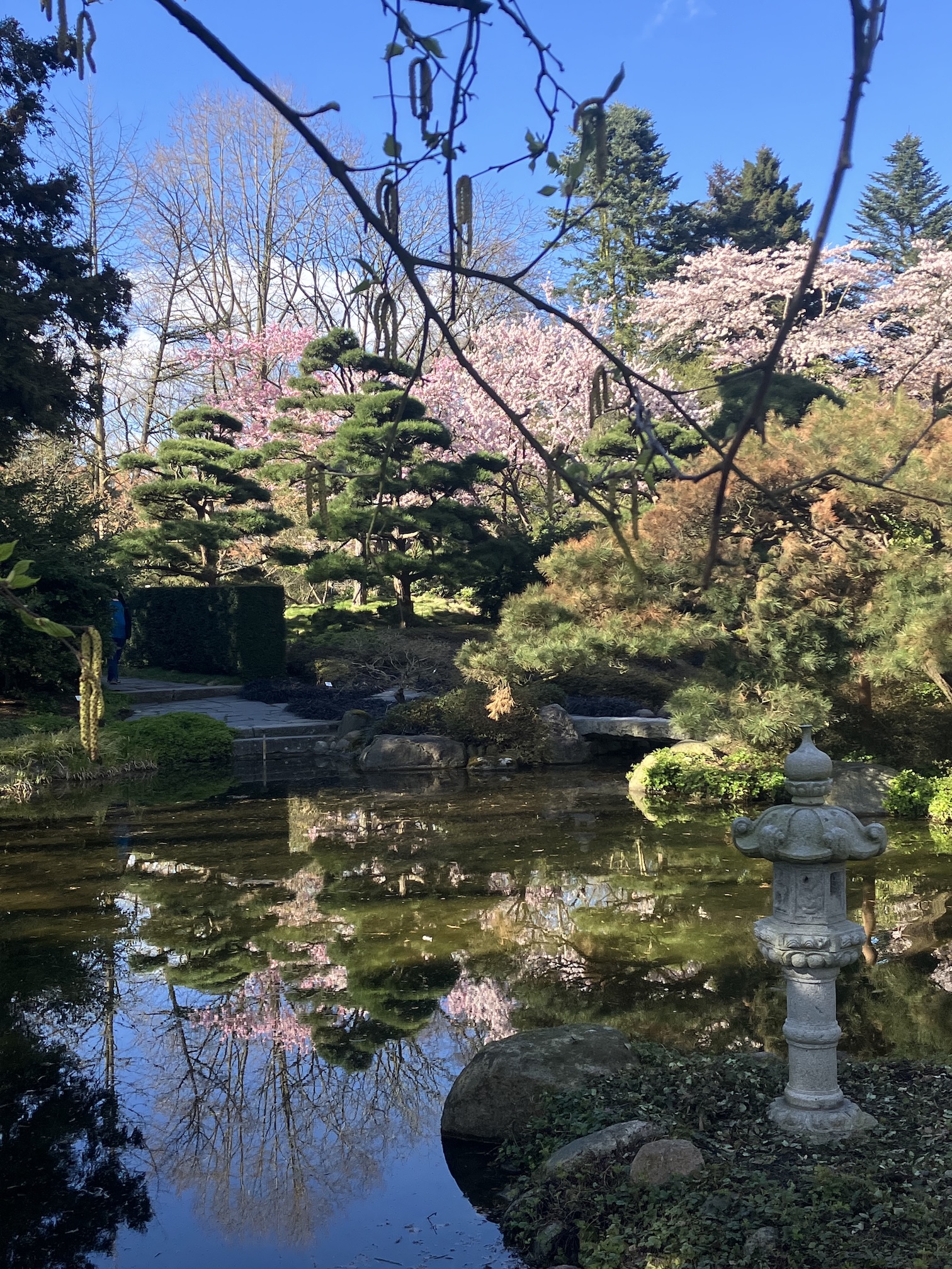 Complex / news | Resom