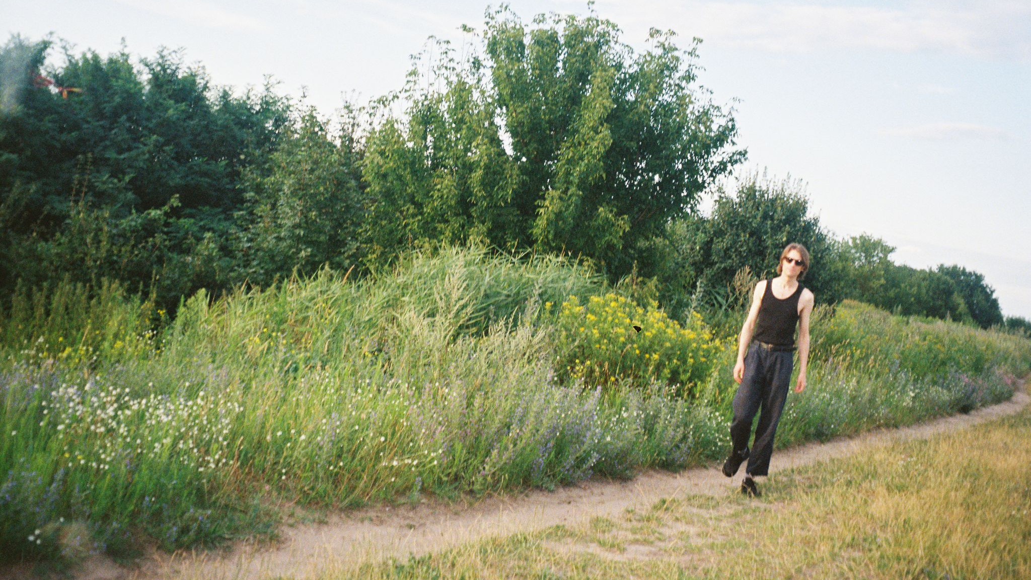 Absent Friends | Minor Science