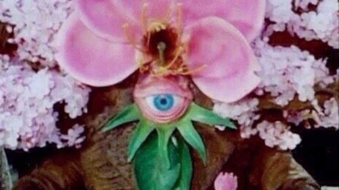 Music Shrine | Amuleto Manuela