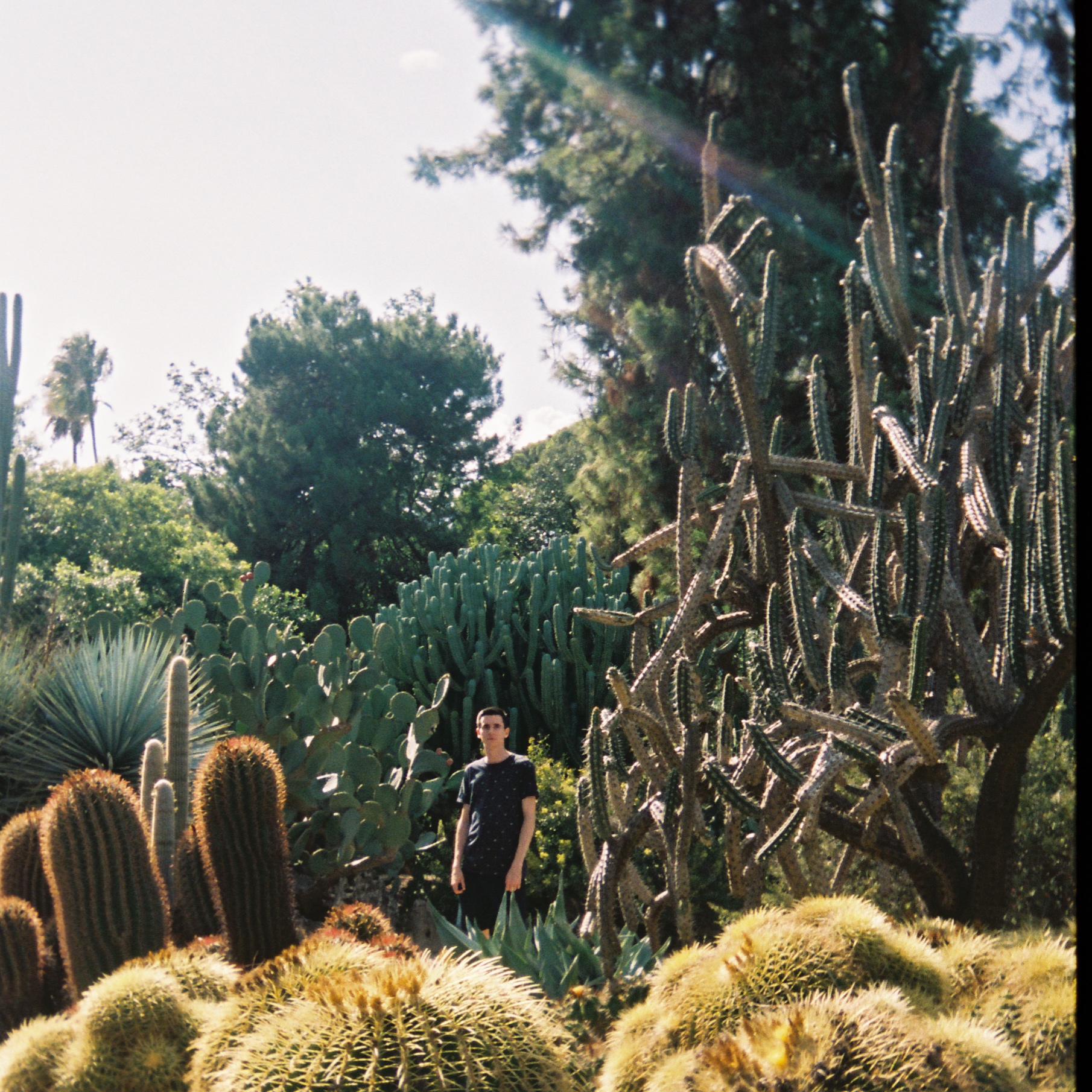 Floating | Nedim Osmanagic