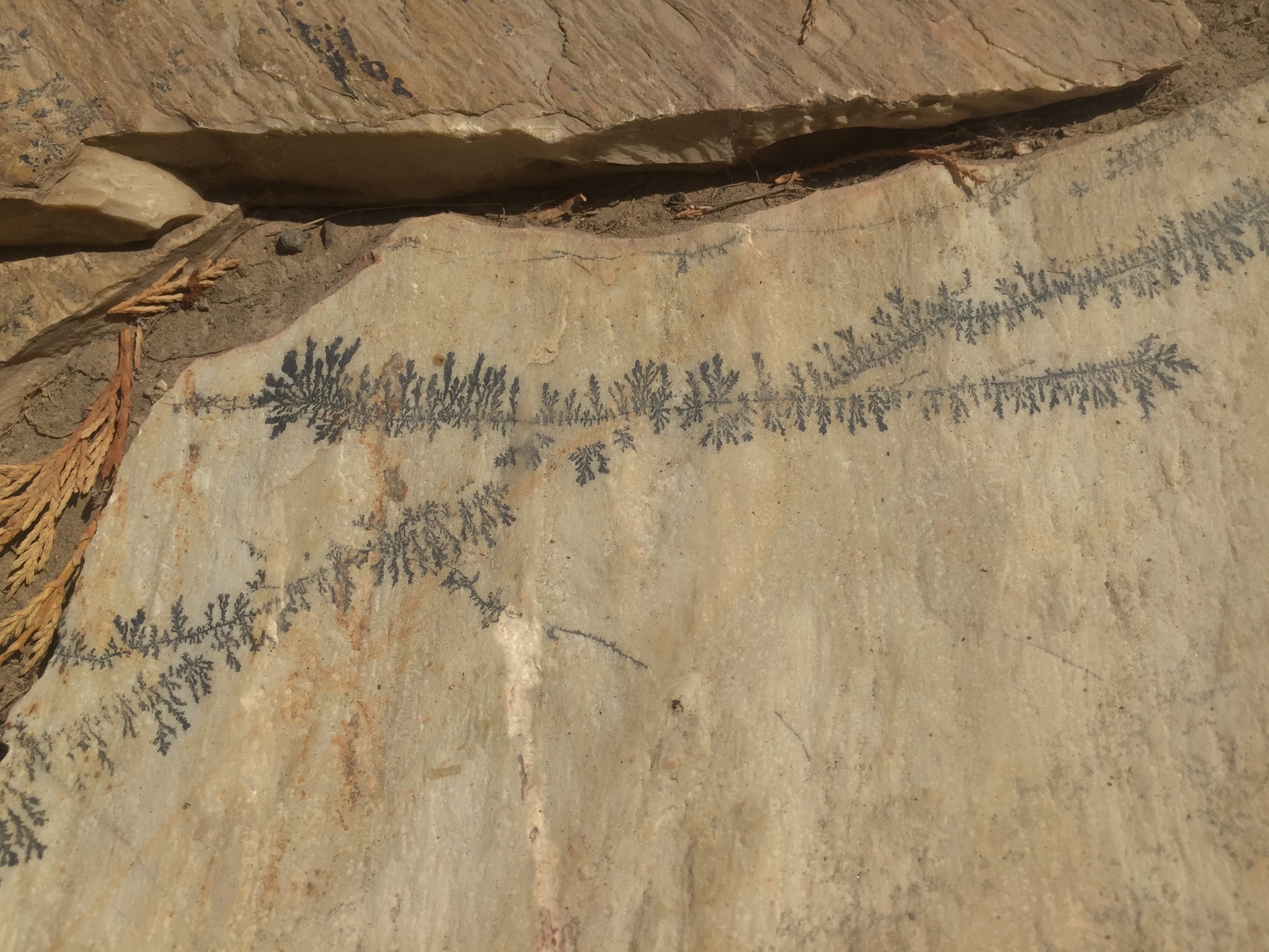 Under The Influence | Lz MC Can