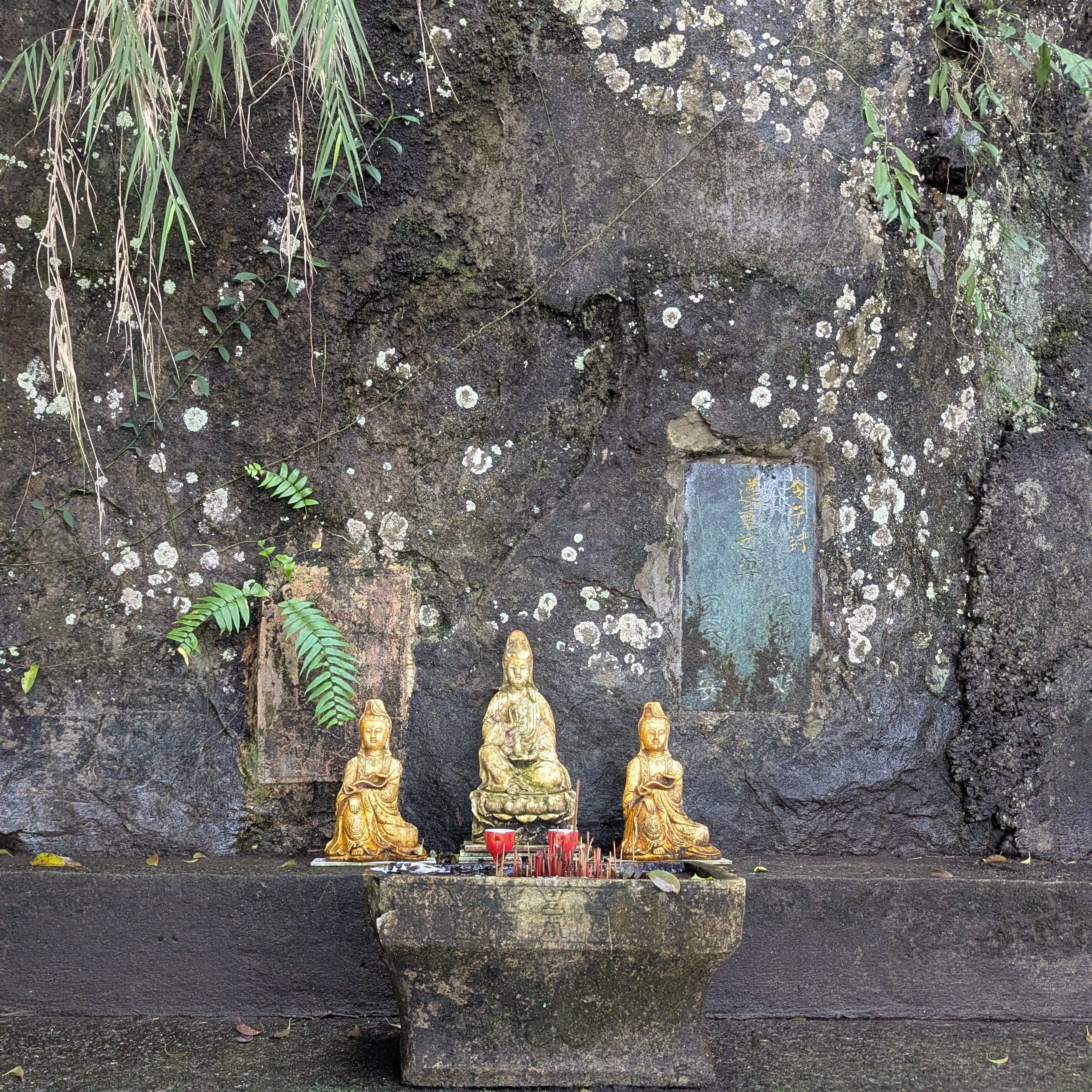 Bangers & Mash | Arnav