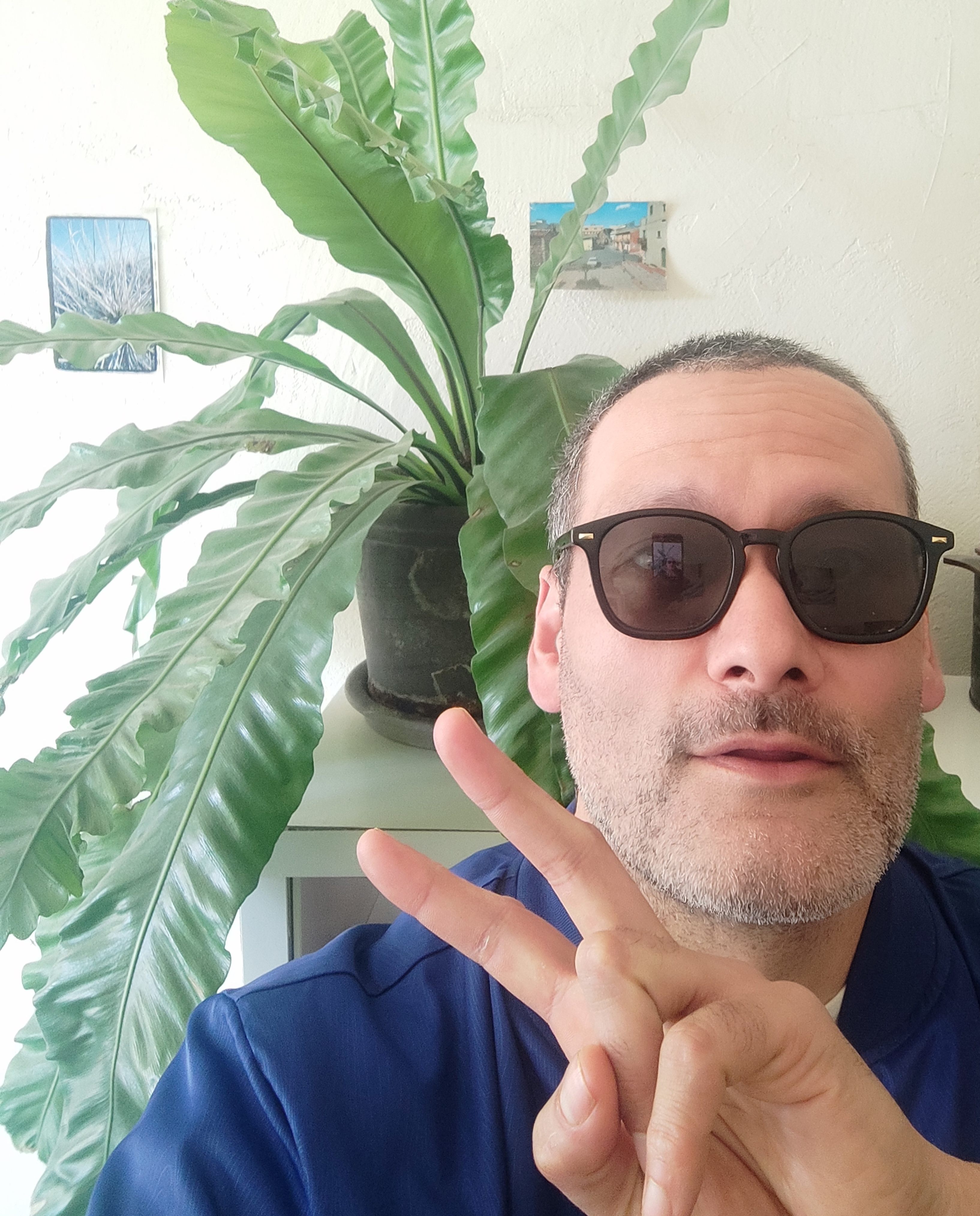 The Breakfast Show | Kava