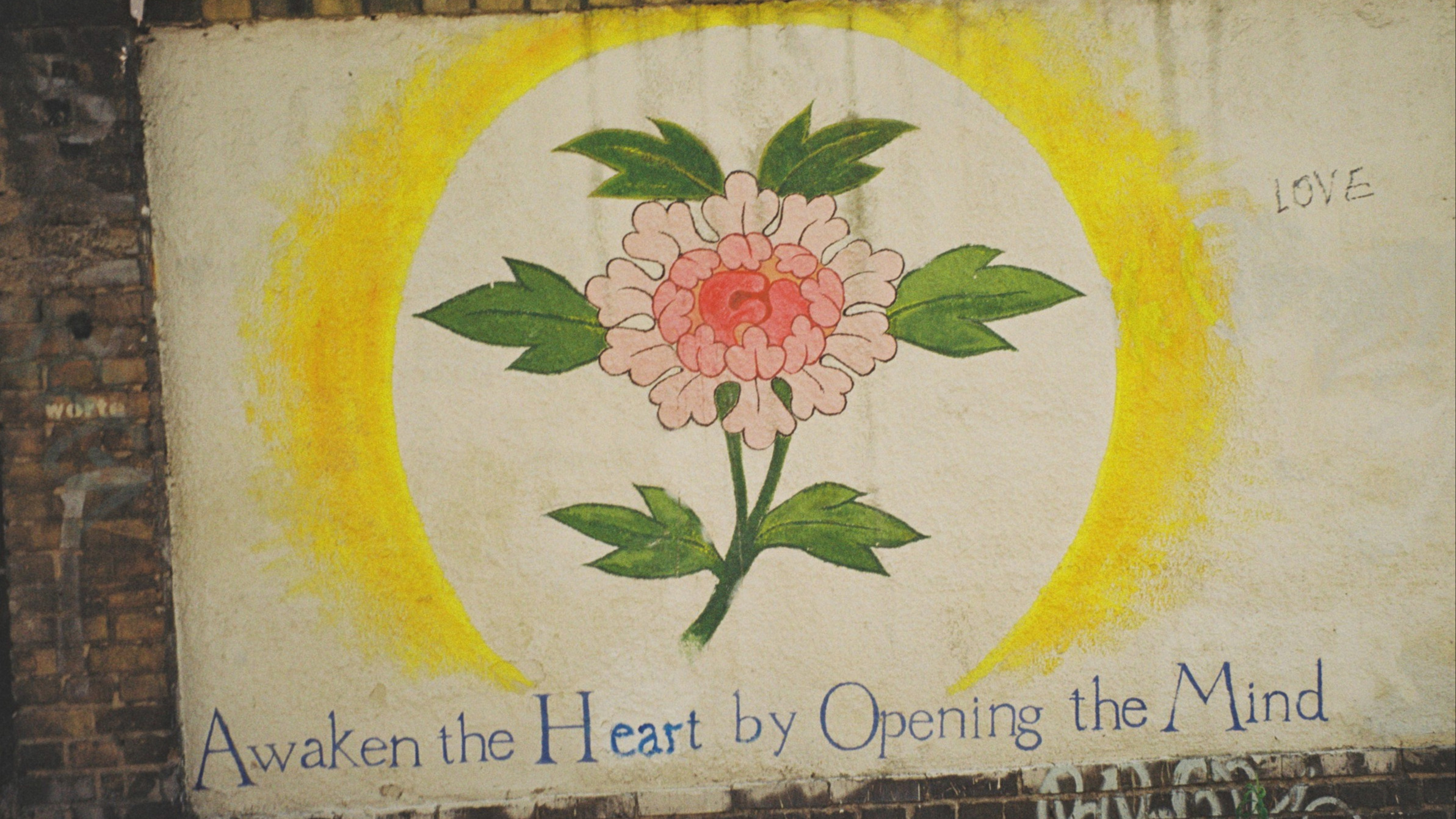 Convos With Kemoy | Elio 