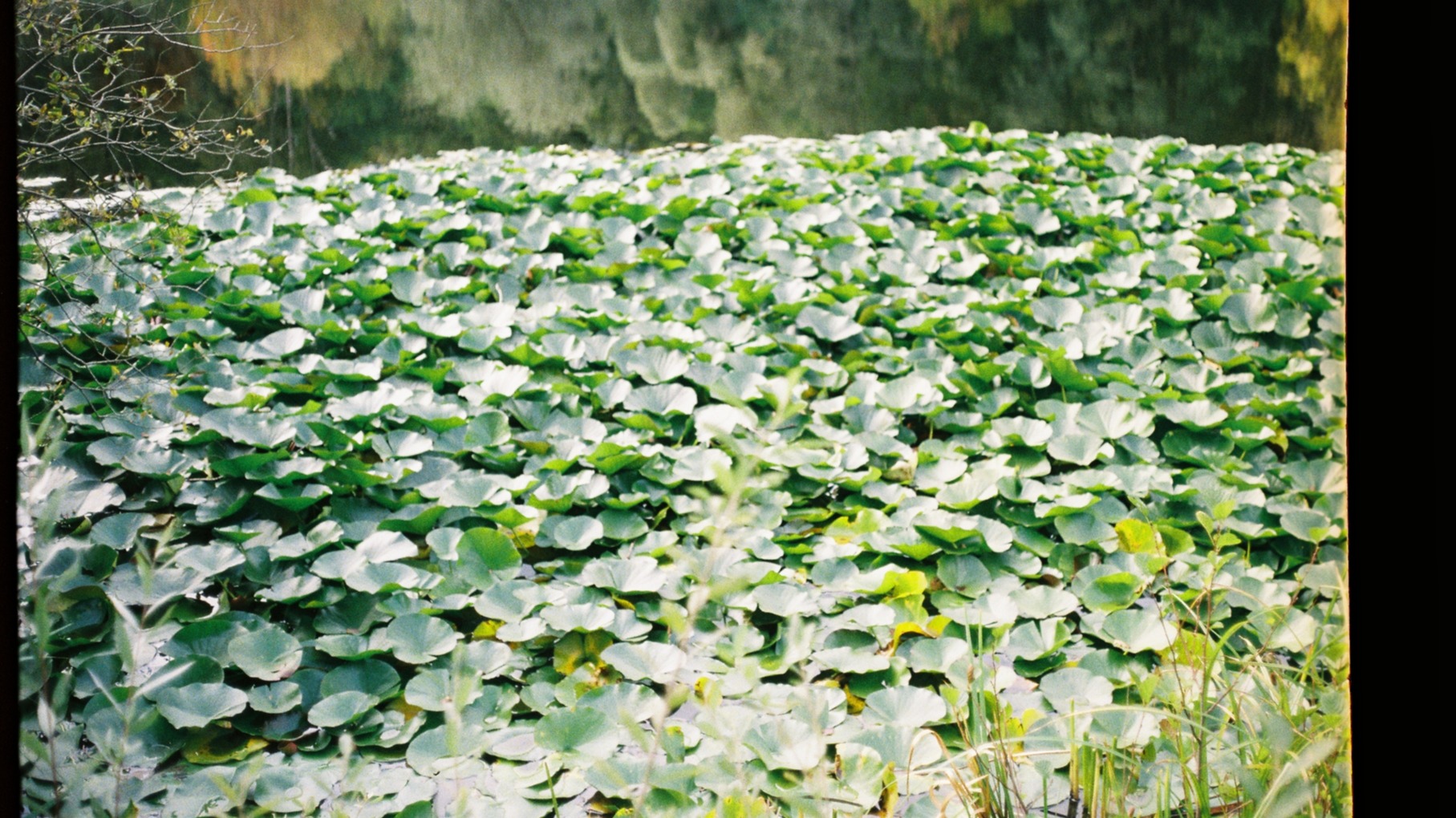 End Of Year Special | Ahmedshk