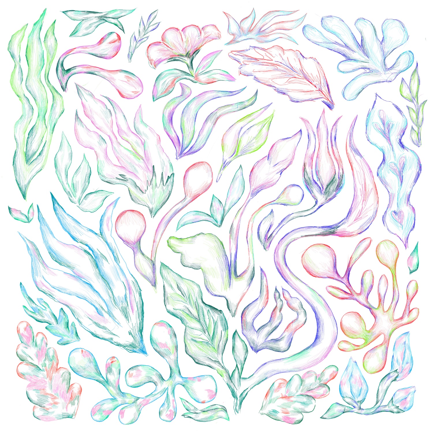 Plants Can Dance | Brian d'Souza