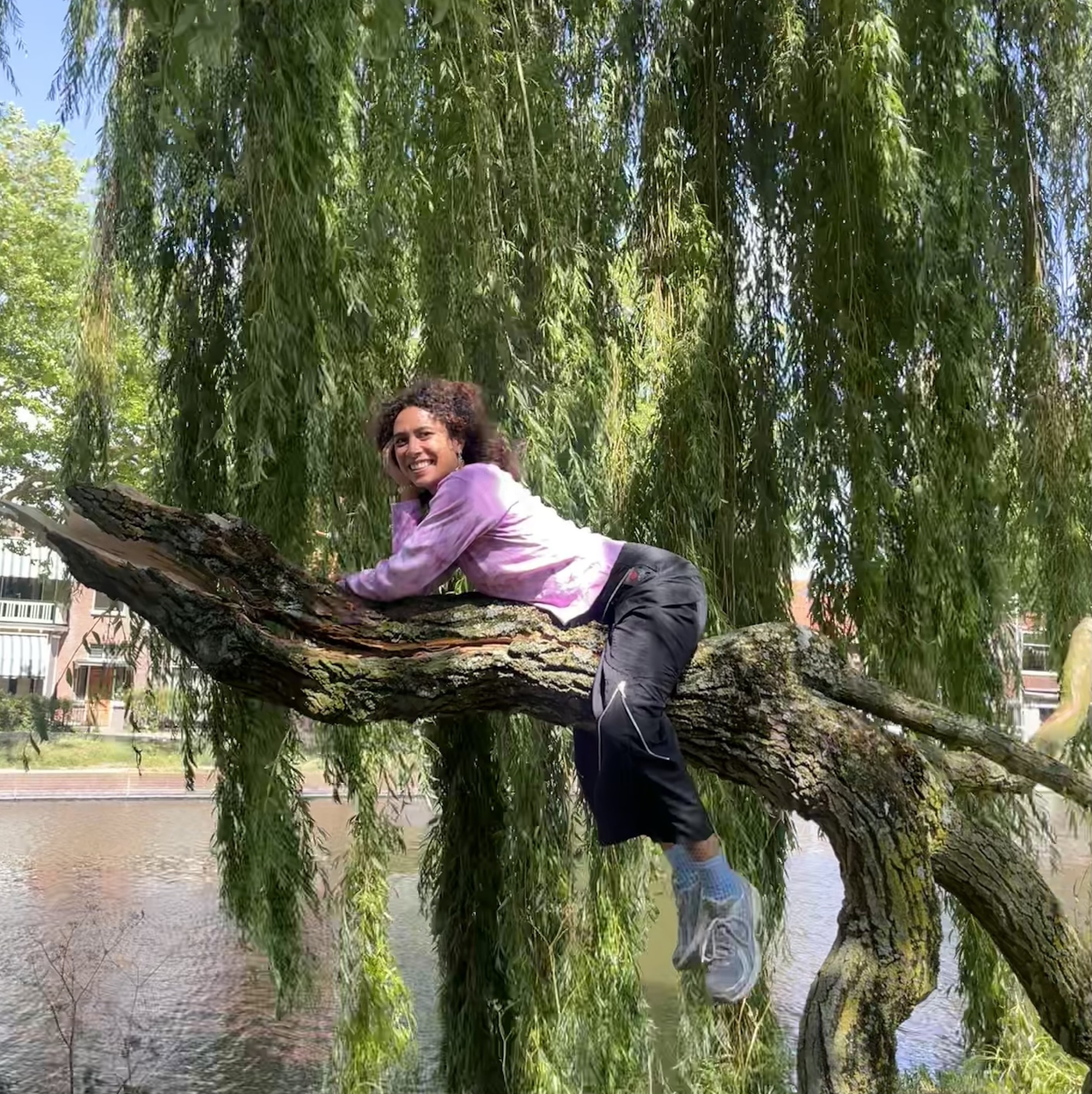 Guest Show | Tangela