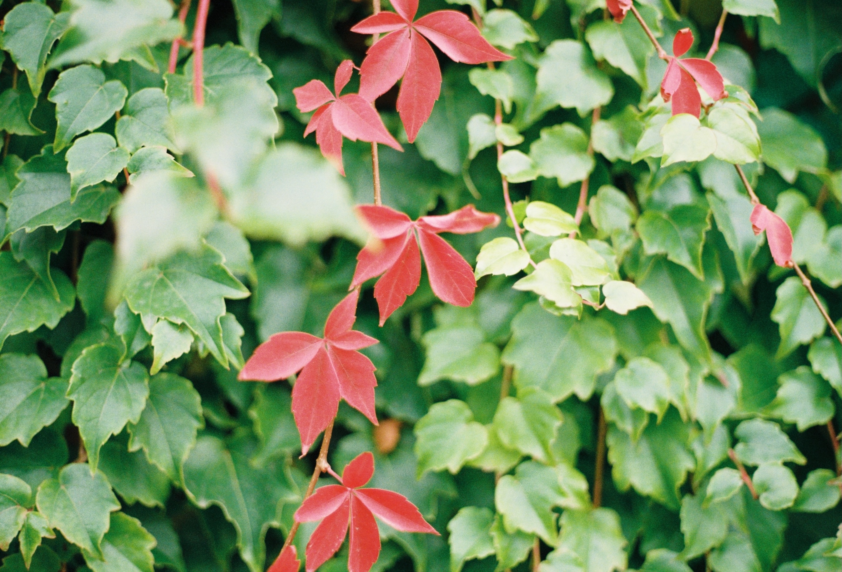 Loose Ends | Kemback