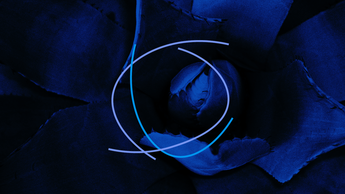 Concentric Records | Simone Merli 