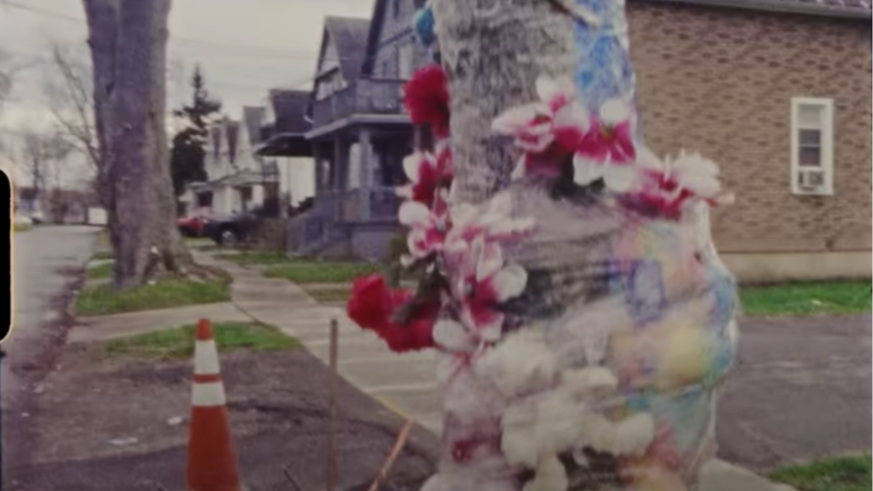 Jank Incorporated | Jank Inc.