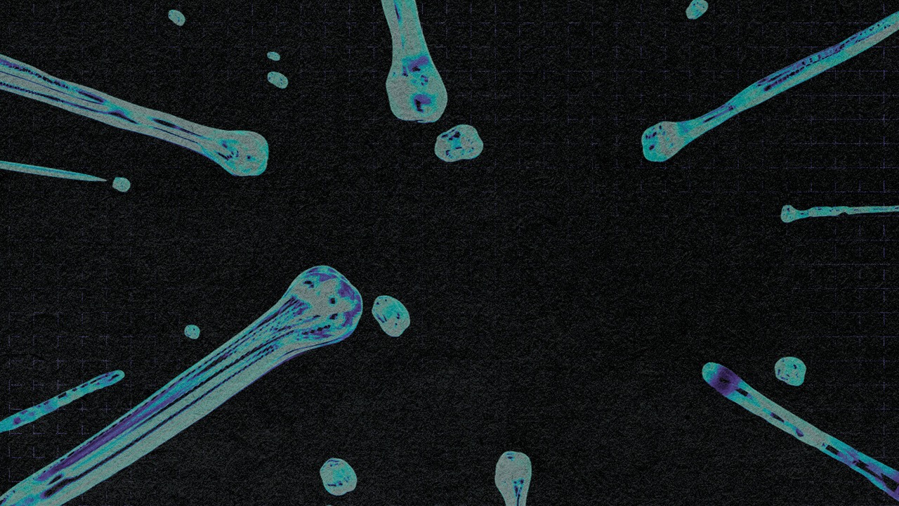 Late To The Party, Start Without Me EP Launch | Data Plan, Solid Blake, Seb Diamond & 11:68PM