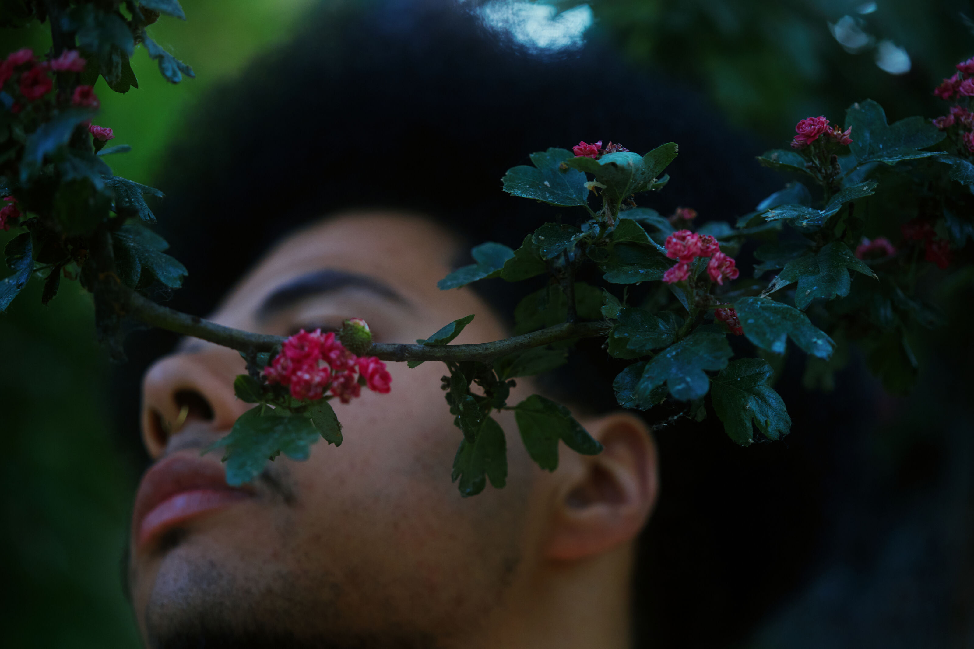 iridescent nightskies | Otis Mensah