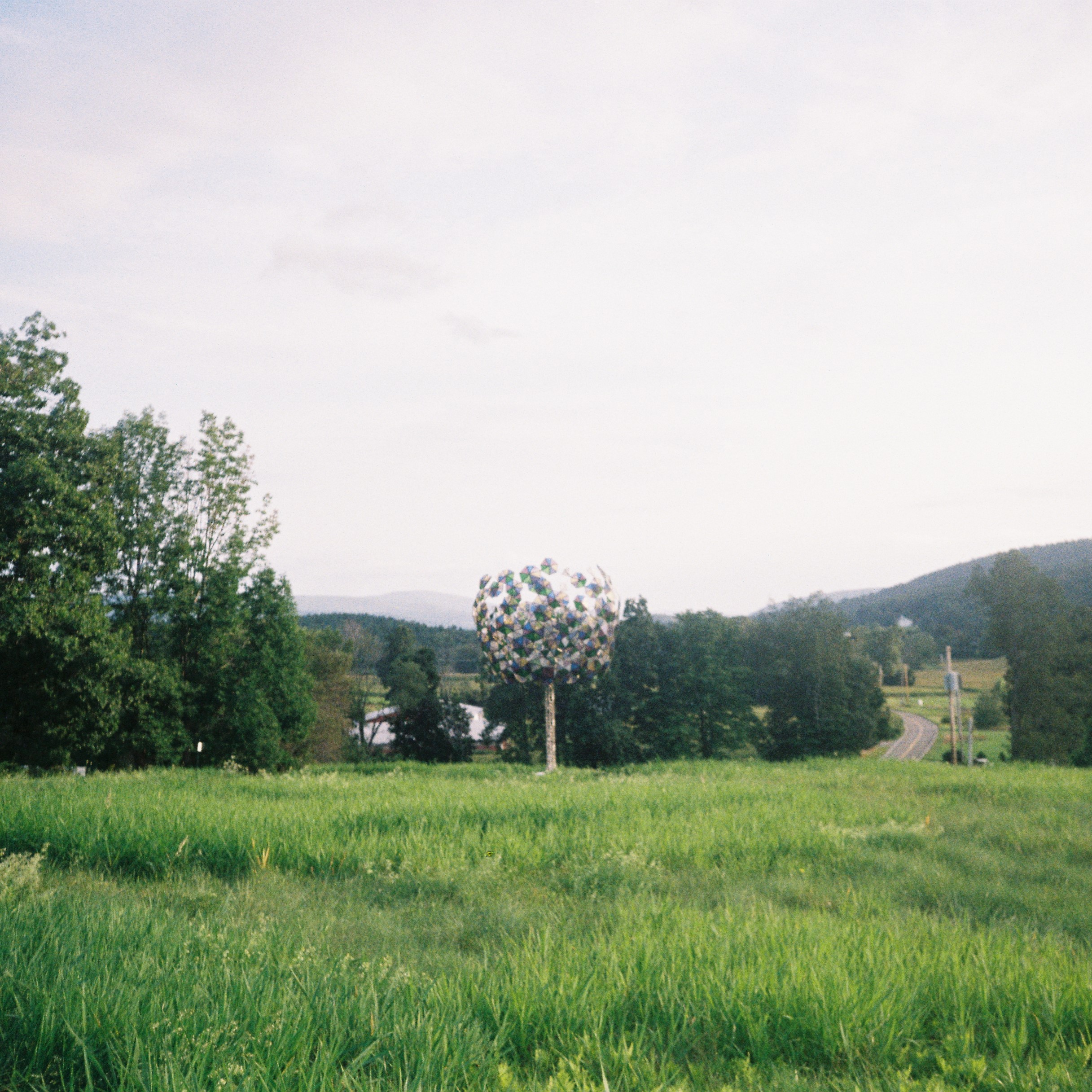 The Breakfast Show | Immy