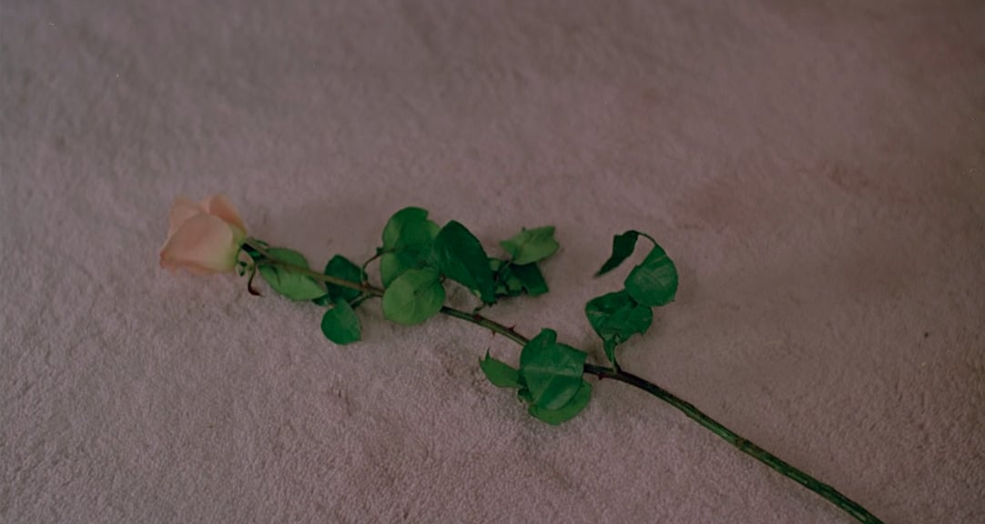 Jank Incorporated  | Florence Scott-Anderton