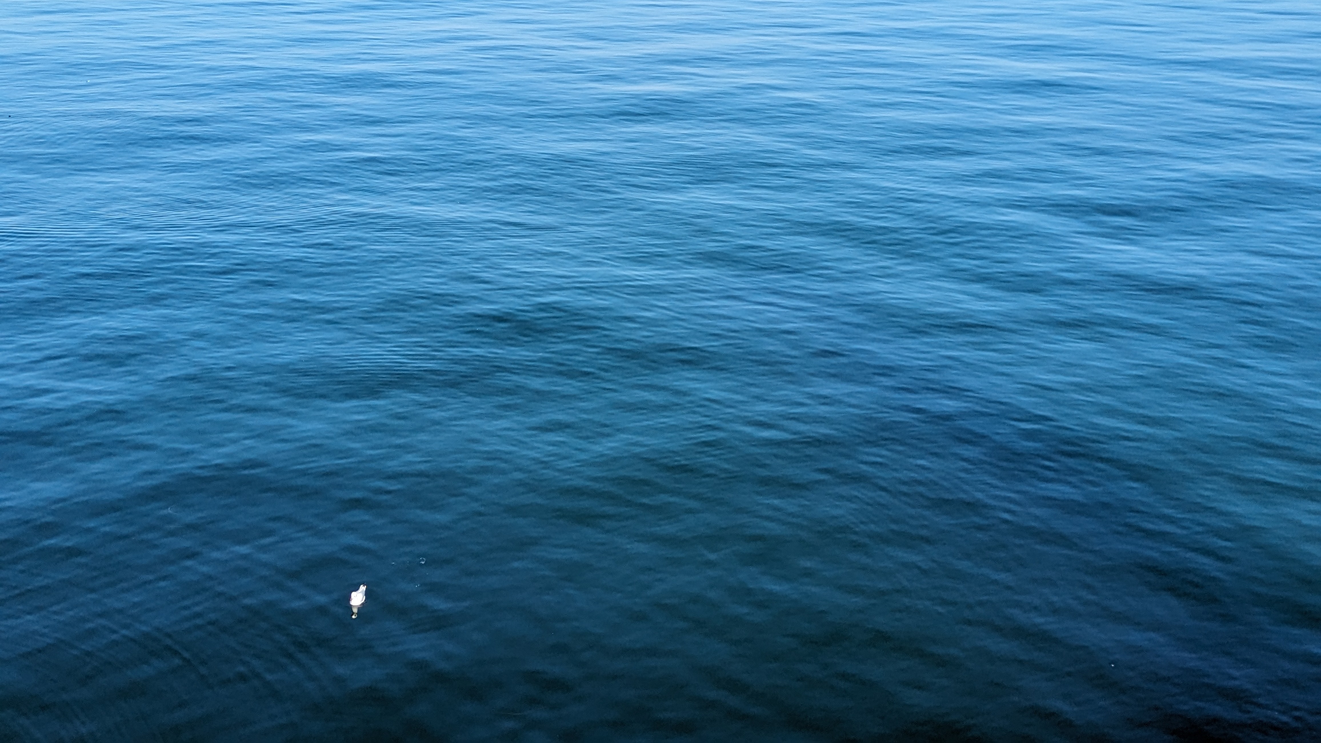 kaleidoscoping | krstn